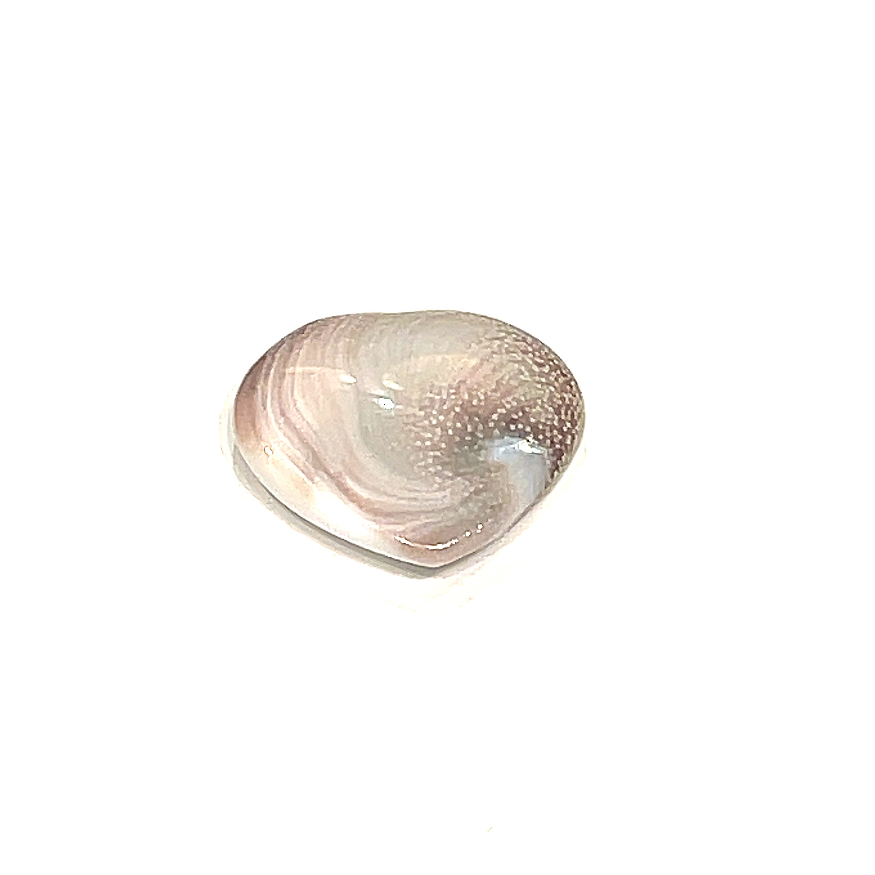 A  Shiva shell gemstone heart-shaped crystal on a white background, back view.