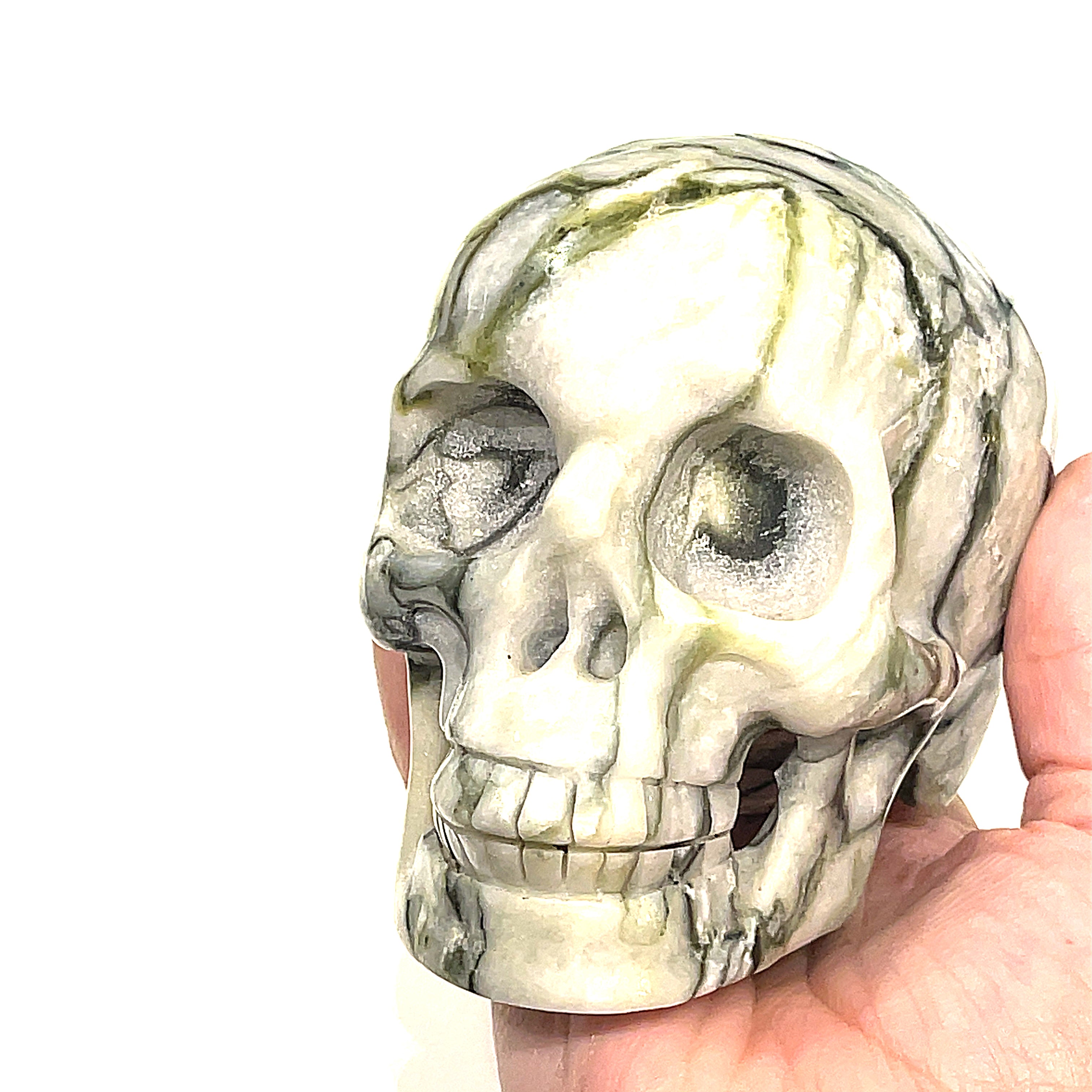 A carved tree-agate skull, white with green throughout, featuring realistic details such as eyes, nose, and mouth, on a white background, front, slight left-angle view in a models hand.