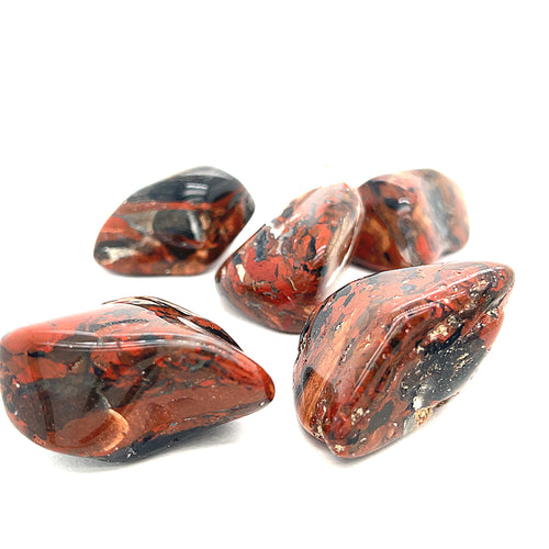 A collection of Brecciated Jasper tumbled gemstones displayed on a white background, front, close-up overview.