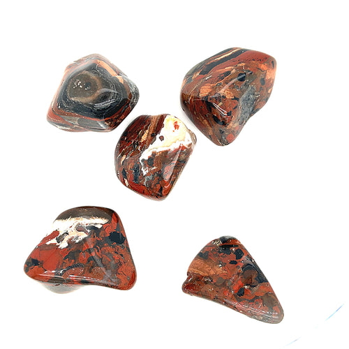 A collection of Brecciated Jasper tumbled gemstones displayed on a white background, front overview. 