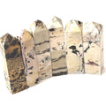 A collection of Picture Jasper gemstone towers arranged in a row, displaying color and pattern variations on a white background, front view. 