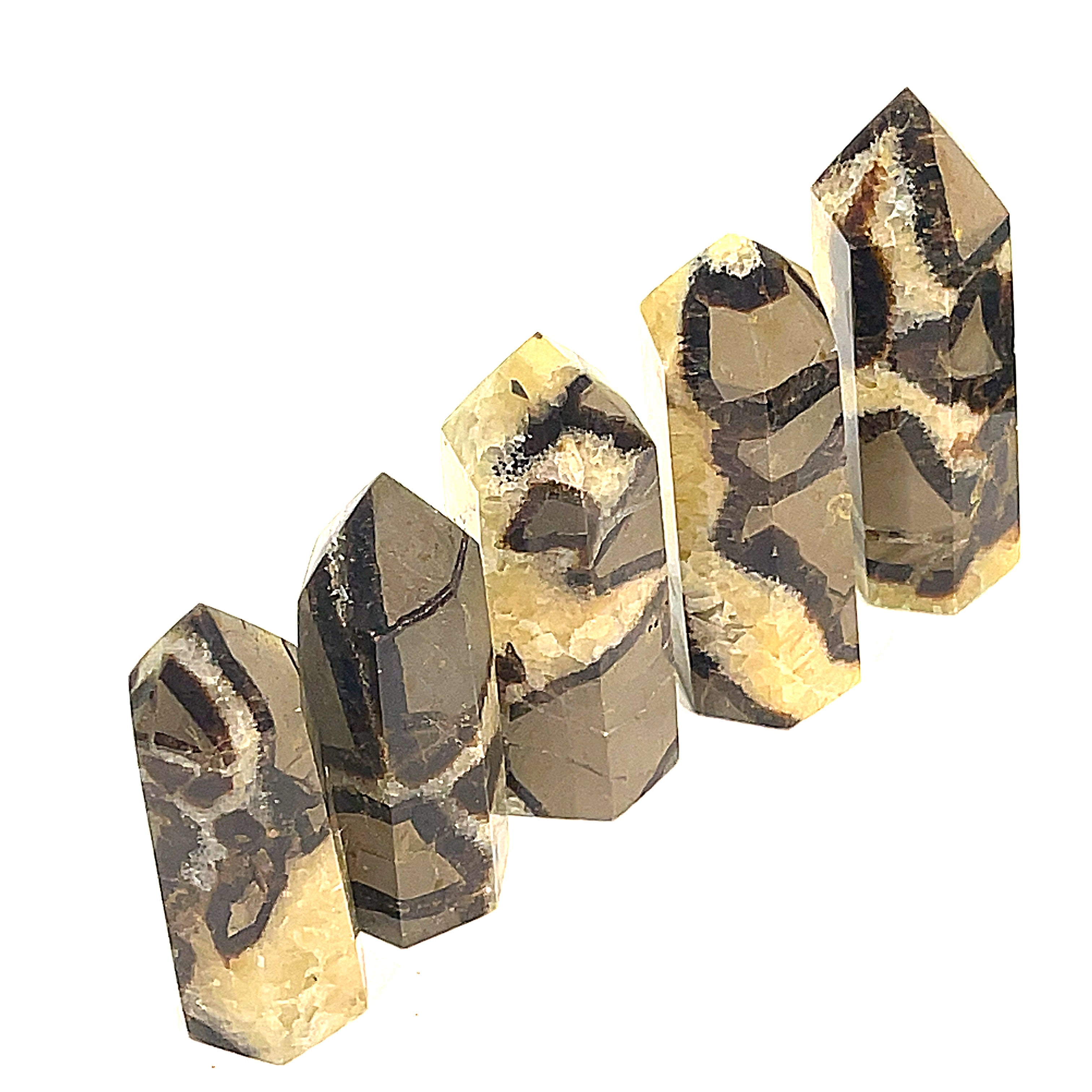 A collection of Septarian Nodule gemstone towers arranged in a line, displaying a variety of earthy colors and patterns on a white background, front view.