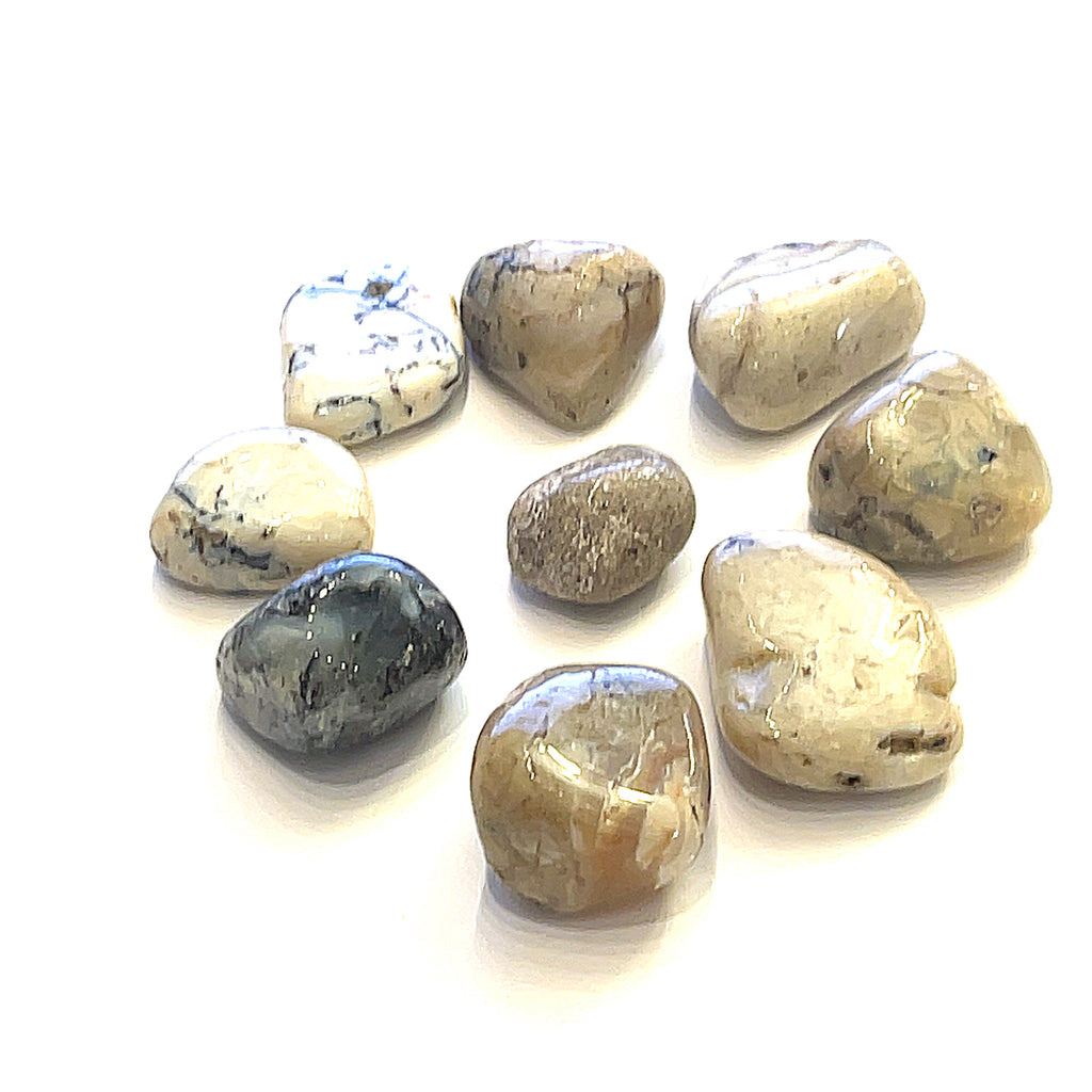 A collection of White Opal tumbled gemstones on a white background, front, close up overview. 