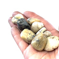 A collection of White Opal tumbled gemstones on a white background, front, close up overview in a models hand. 