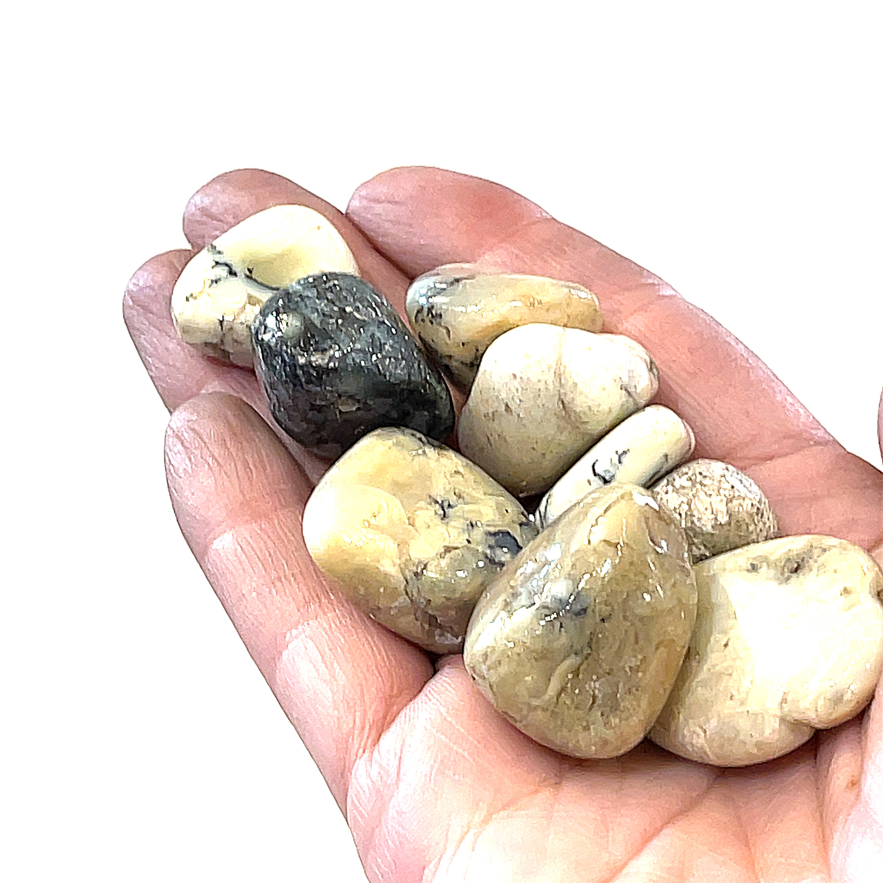 A collection of White Opal tumbled gemstones on a white background, front, close up overview in a models hand. 
