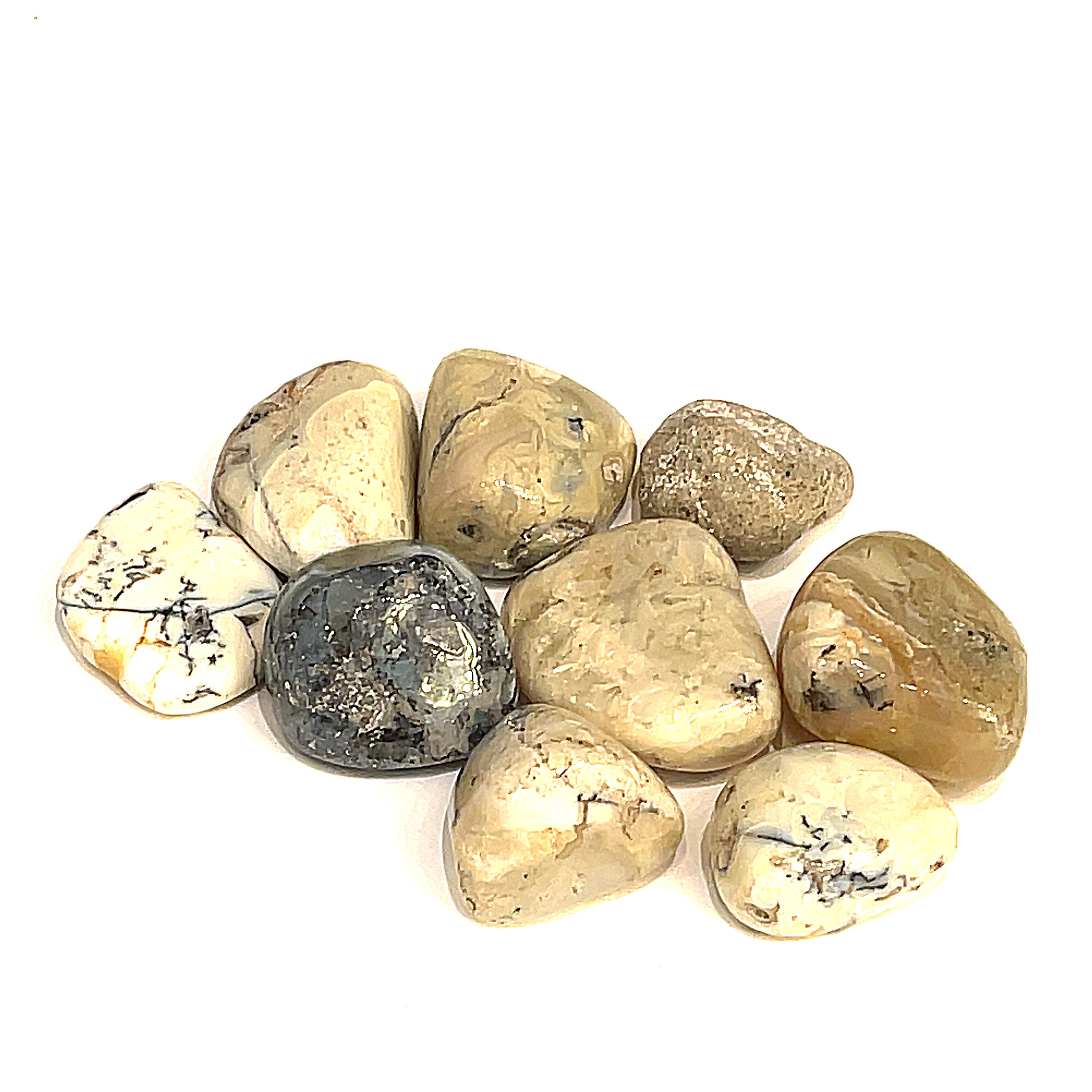 A collection of White Opal tumbled gemstones on a white background, front overview. 