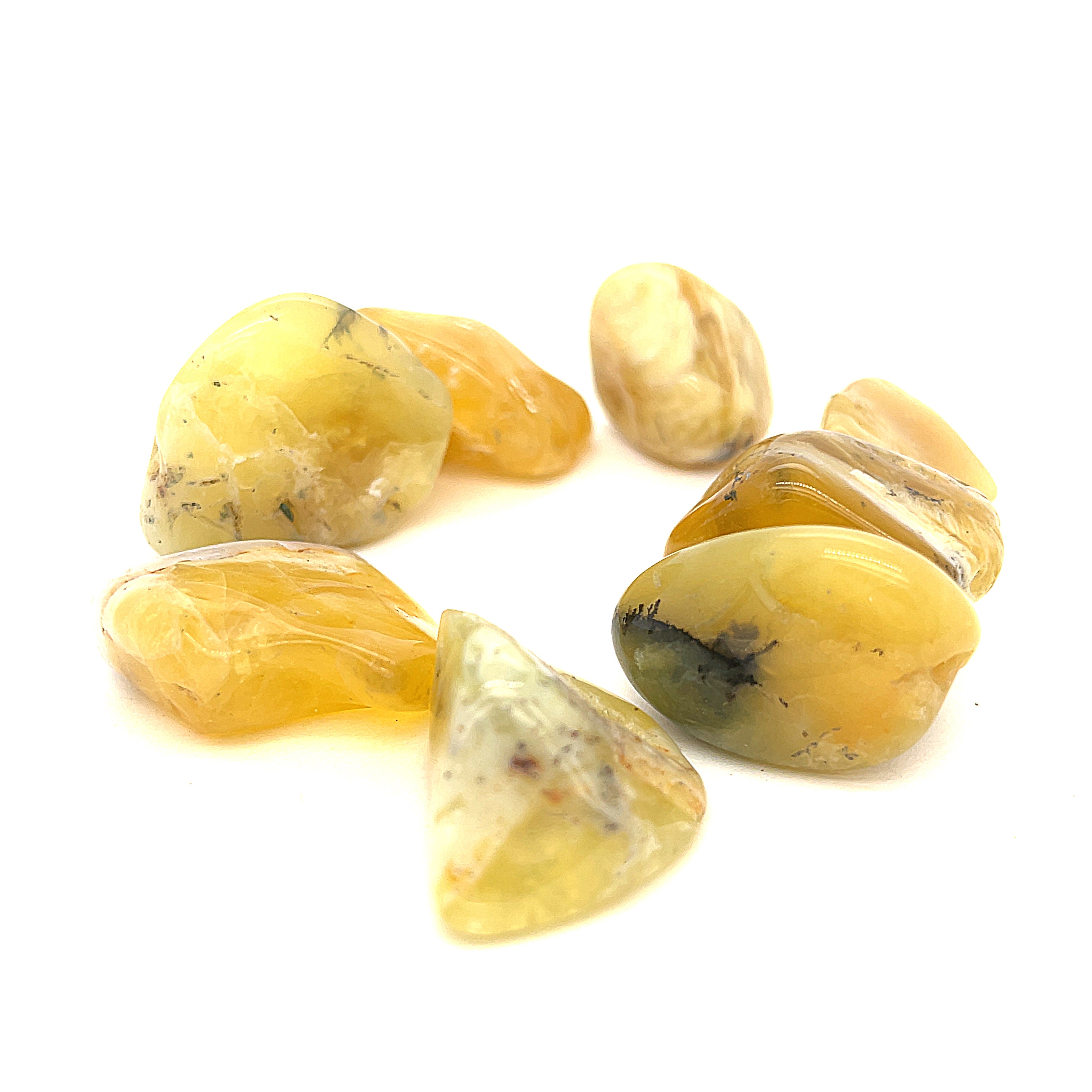 A collection of Yellow Opal tumbled gemstones displayed in a  white background, front, center  overview. 