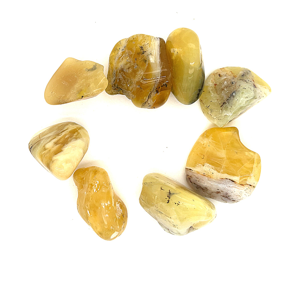 A collection of Yellow Opal tumbled gemstones displayed on a white background, front overview. 