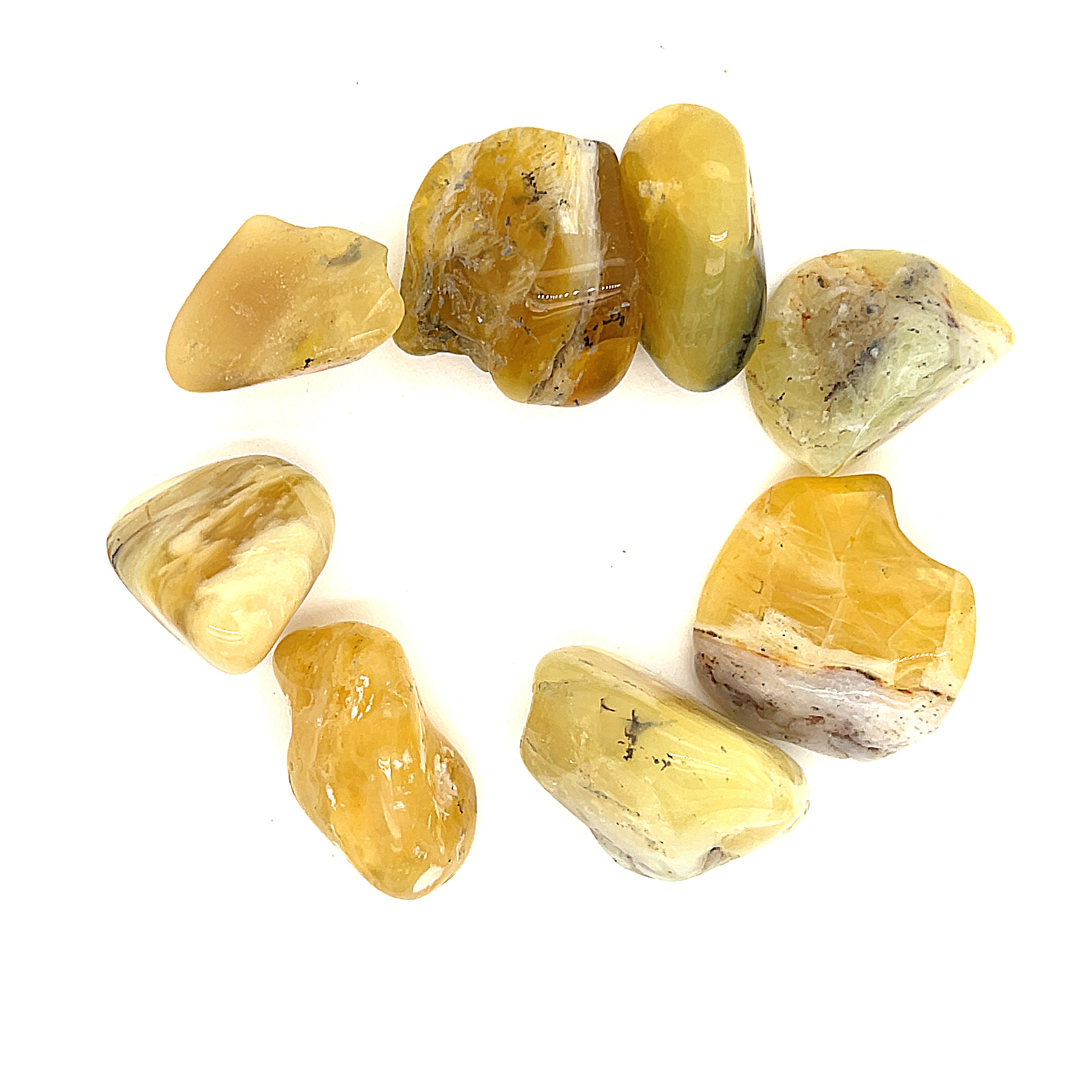 A collection of Yellow Opal tumbled gemstones displayed on a white background, front overview. 
