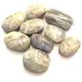 A collection of grey moonstone palm stones displayed on a white background front overview.