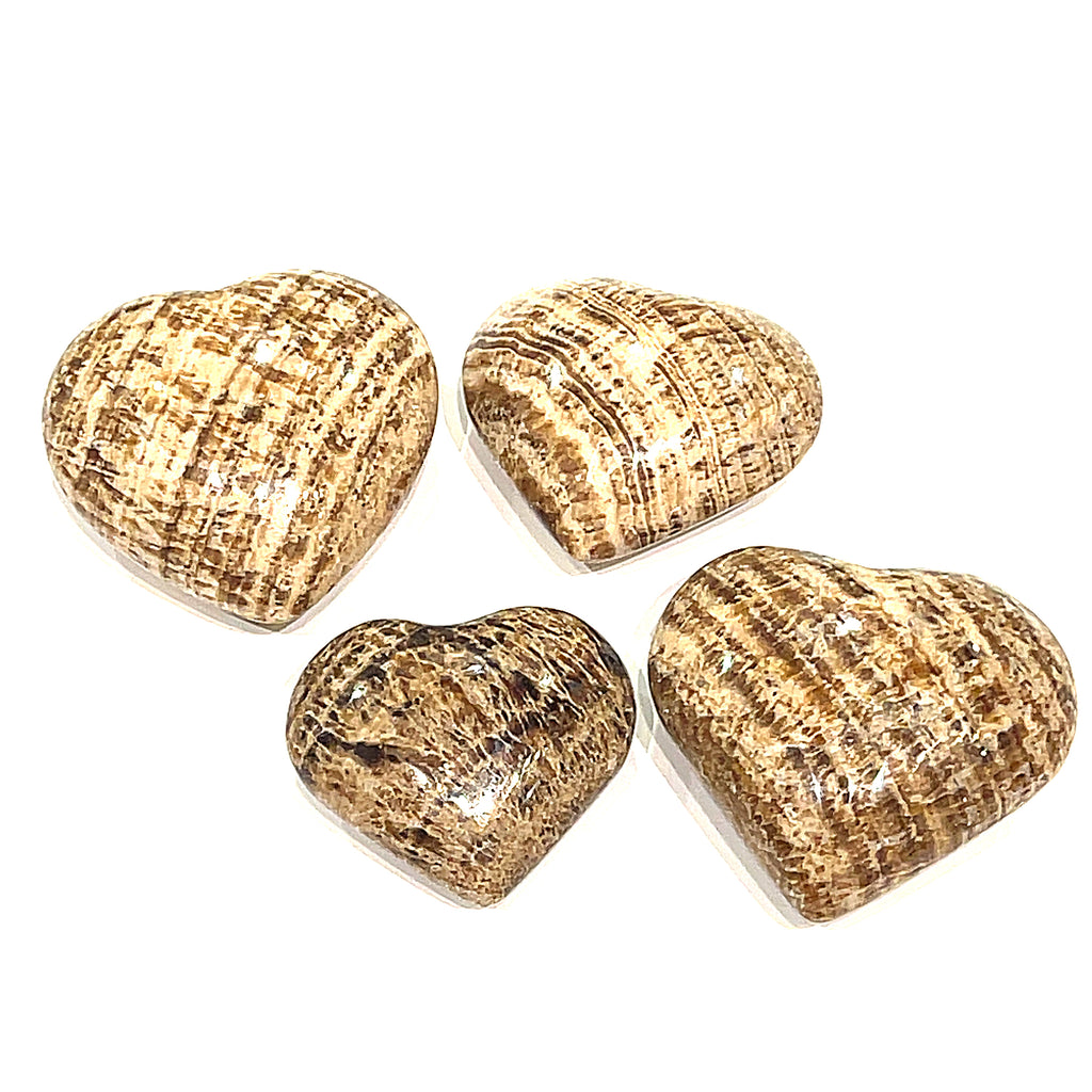 A collection of heart-shaped Aragonite gemstones in various shades of brown with patterns typical of the mineral displayed on a white background front overview. 