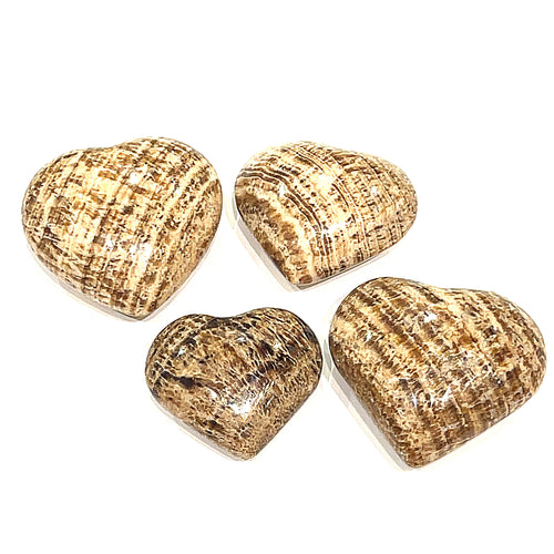 A collection of heart-shaped Aragonite gemstones in various shades of brown with patterns typical of the mineral displayed on a white background front overview. 