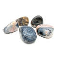 A collection of polished Dendritic Agate tumbled gemstones displayed on a white background, front overview.