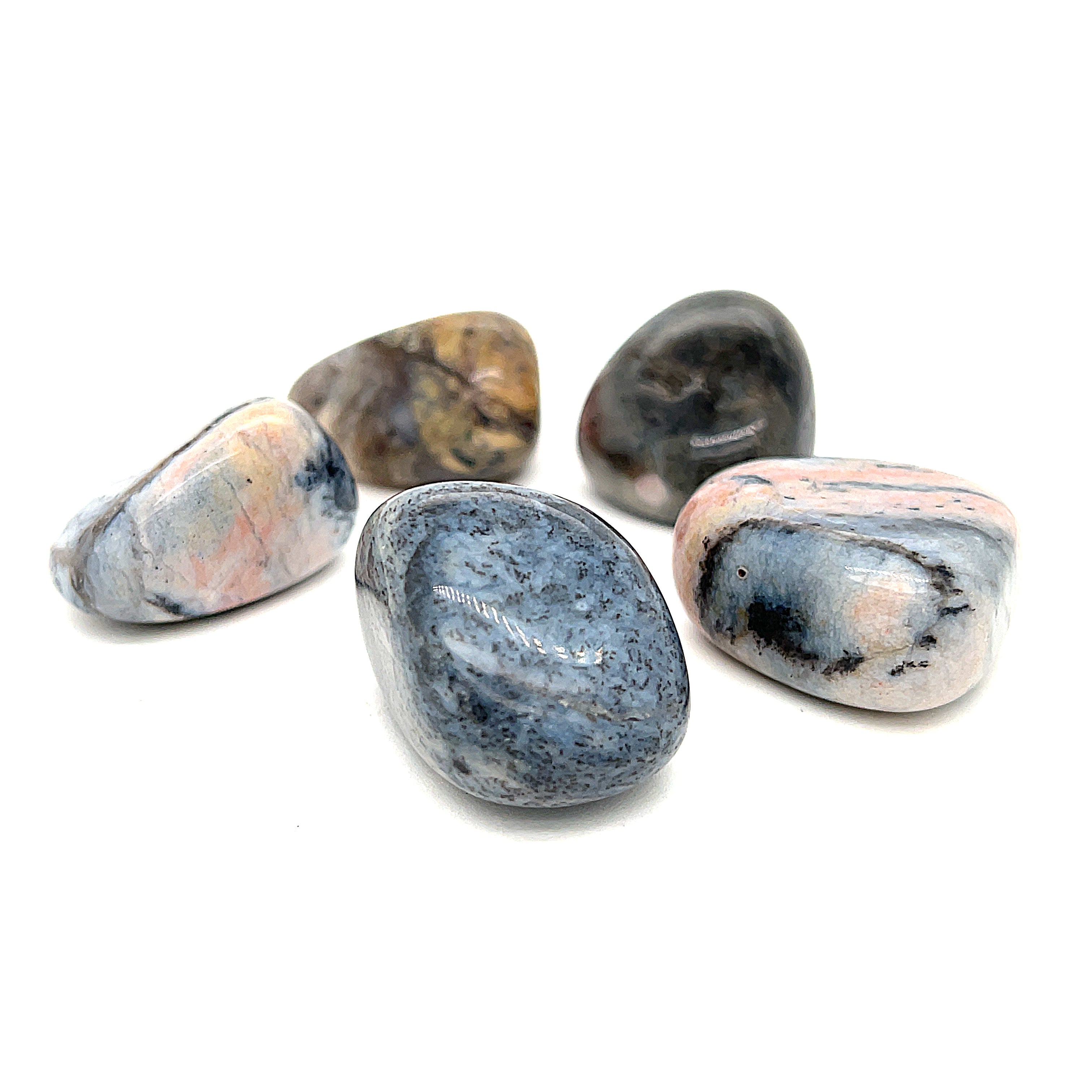 A collection of polished Dendritic Agate tumbled gemstones displayed on a white background, front overview.