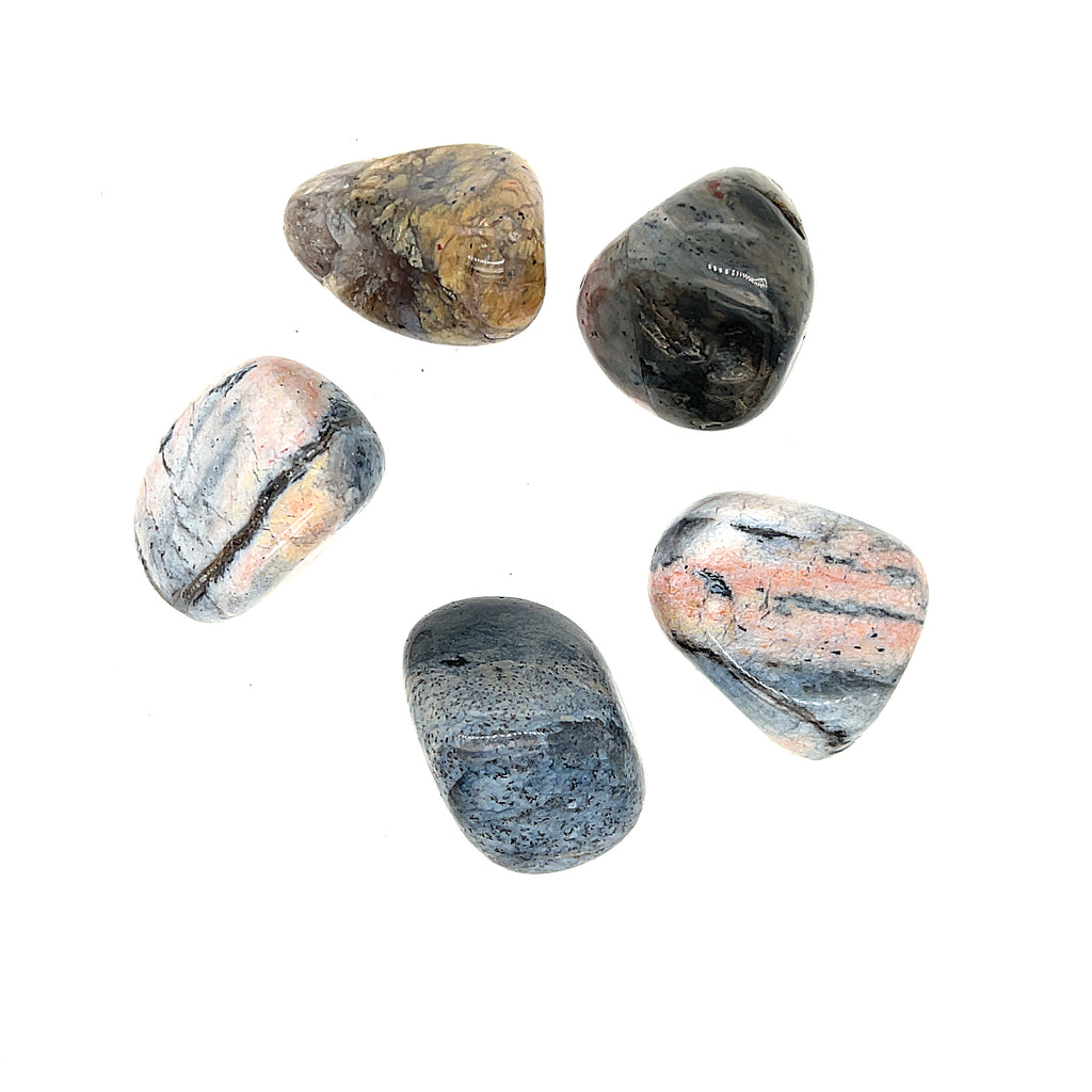 A collection of polished Dendritic Agate tumbled gemstones displayed on a white background, overview.