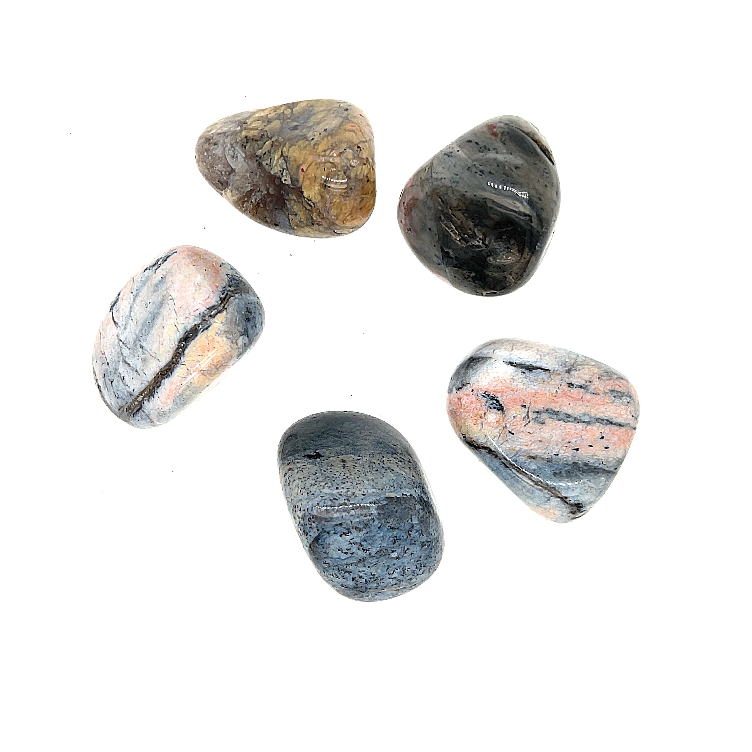 A collection of polished Dendritic Agate tumbled gemstones displayed on a white background, overview.
