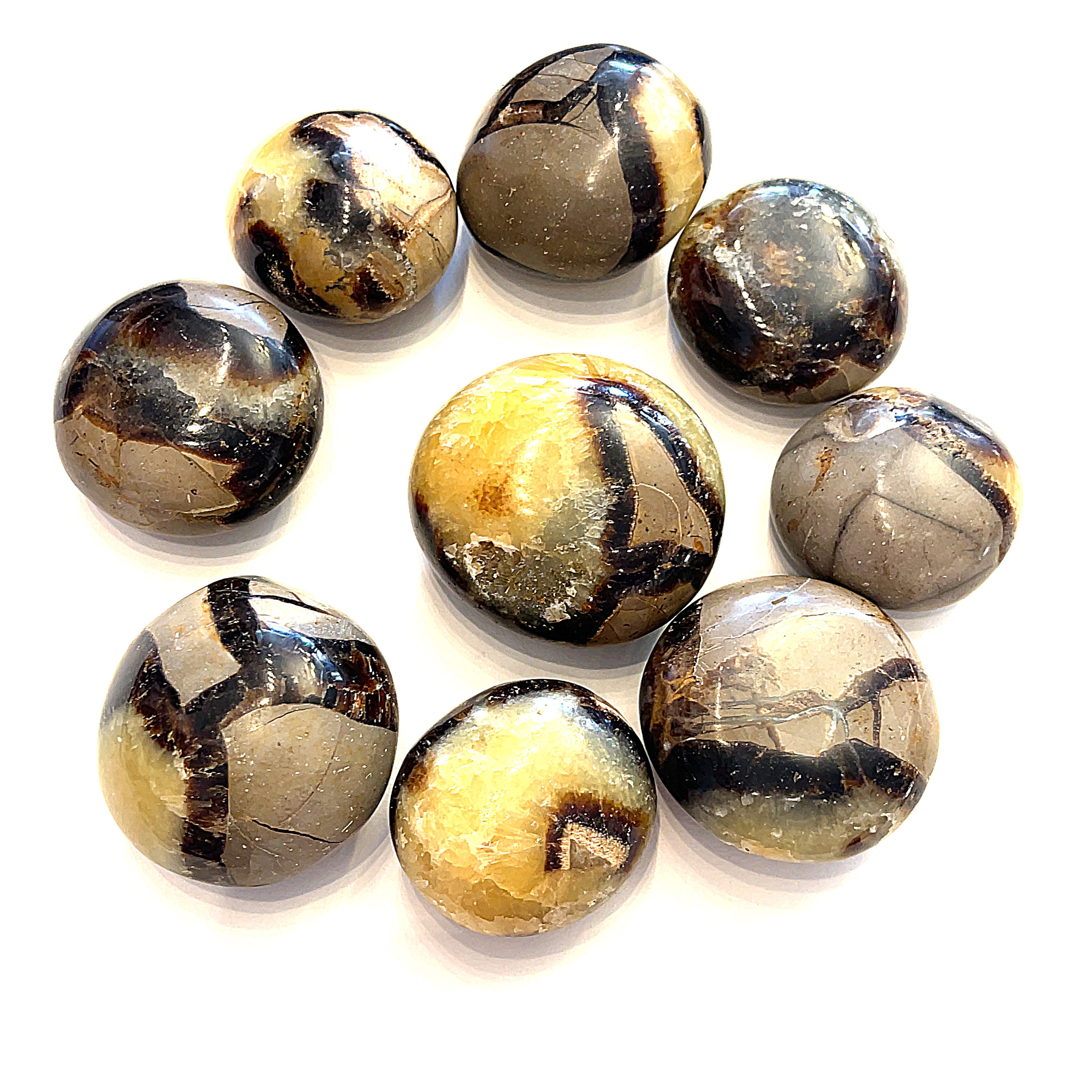 A collection of round Septarian Nodule palm stones with a varied pattern of beige, black, and white markings on a white background front, view. 