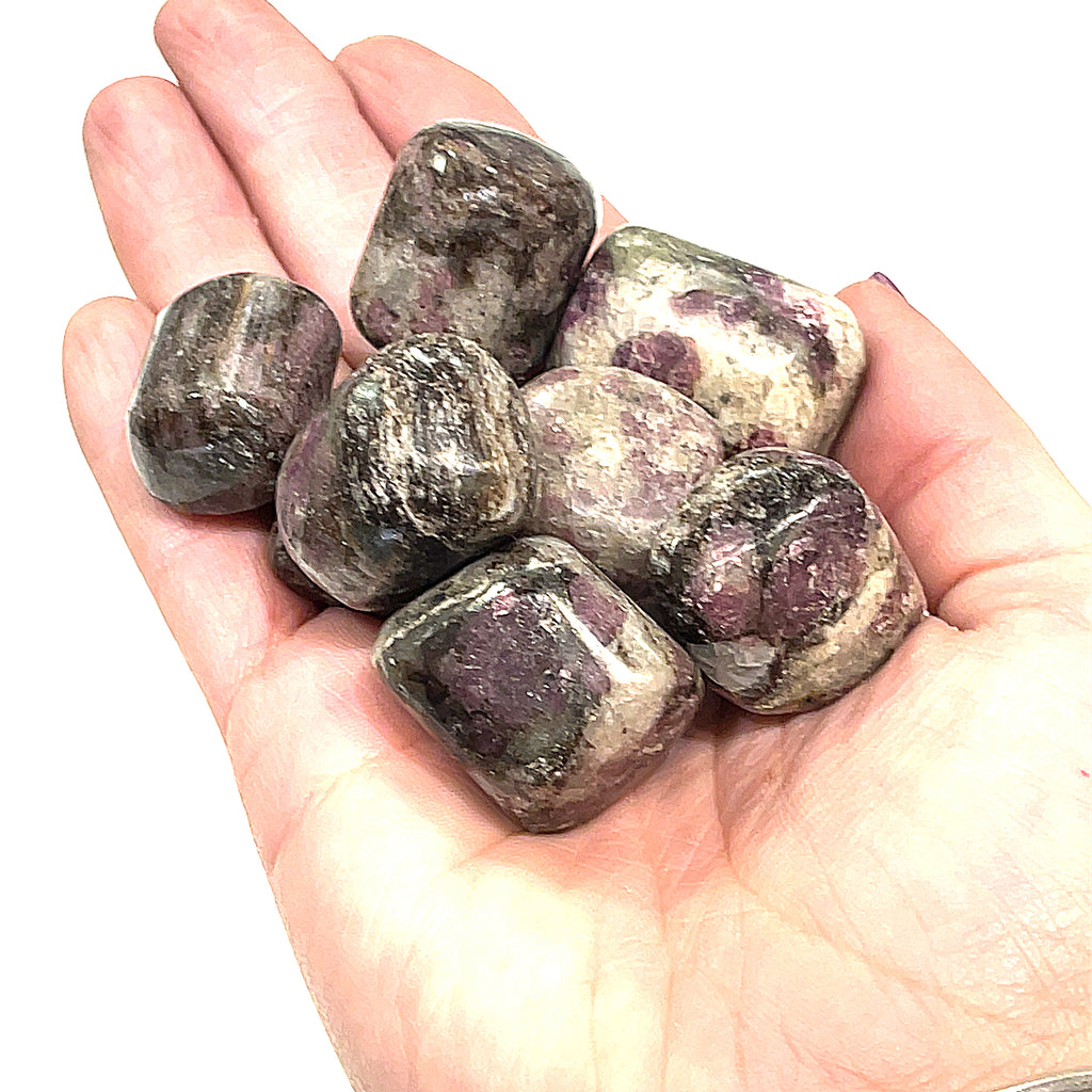 A collection of round tumbled Eudialyte gemstones with a purple and gray color palette on a white background, front overview. in a models hand.