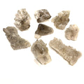 A collection of small Smokey Quartz gemstone clusters displayed on a white background, front, close-up overview.
