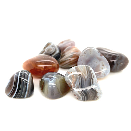 A collection of tumbled Botswana Agate gemstones with brown, gray, and white patterns on a white background, front view. 