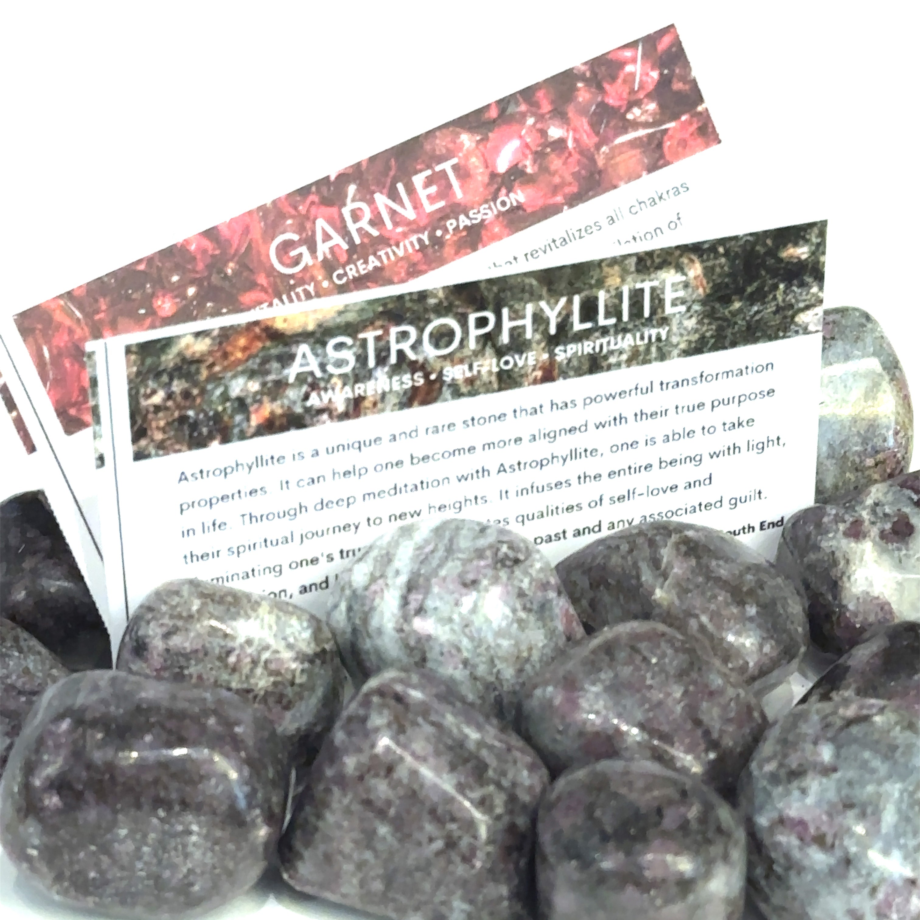A collection of tumbled Garnet and Astrophyllite gemstones with information cards about the gemstones displayed on a white background, front view.