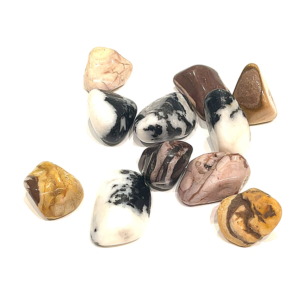 A collection of tumbled Zebra Jasper gemstones with a mix of black, white, and brown colors against a white background, front overview.