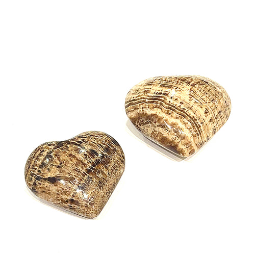 A collection of two heart-shaped Aragonite gemstones in various shades of brown with patterns typical of the mineral displayed on a white background front overview. 