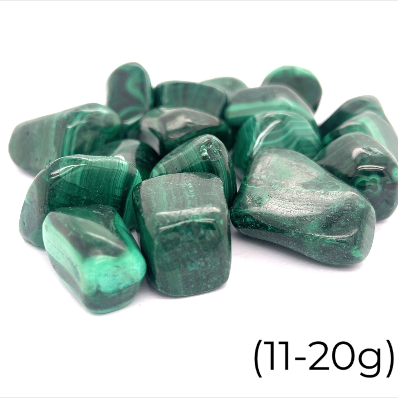 A group of Malachite tumbled (11-20g) gemstone  on a white background, front view.