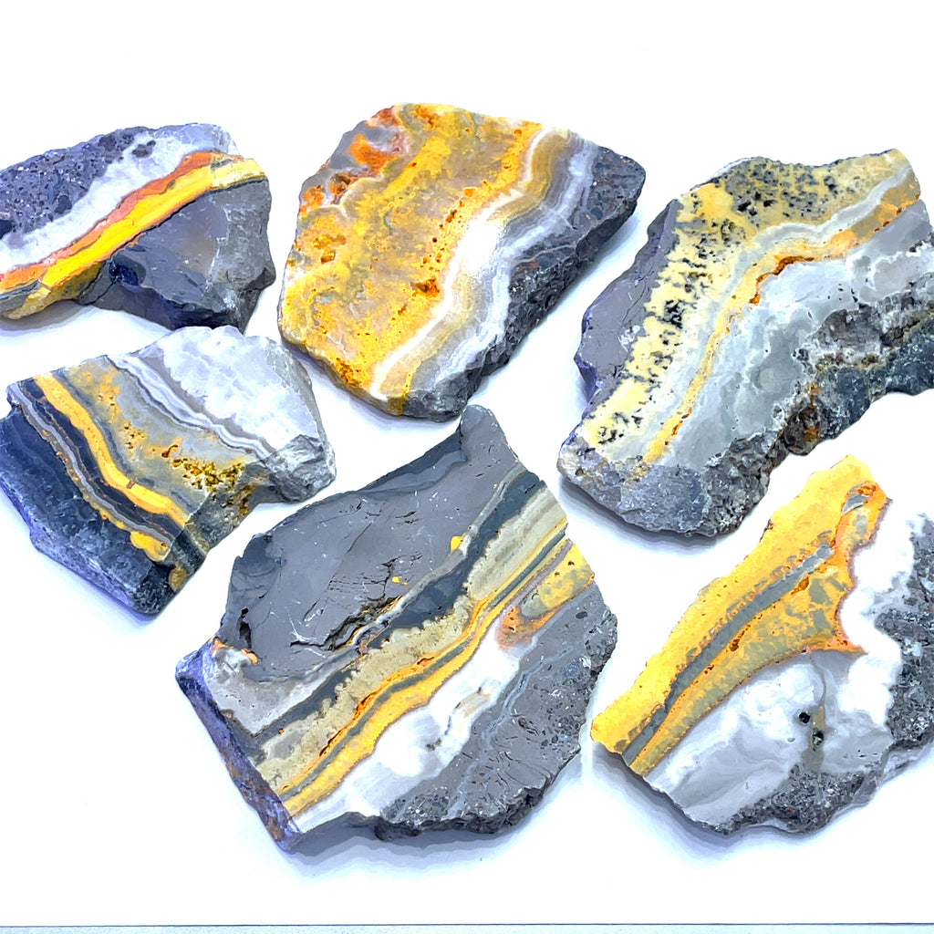 A group of Vibrant yellow and grey banding of natural Bumble Bee Jasper slabs on a white background front view.