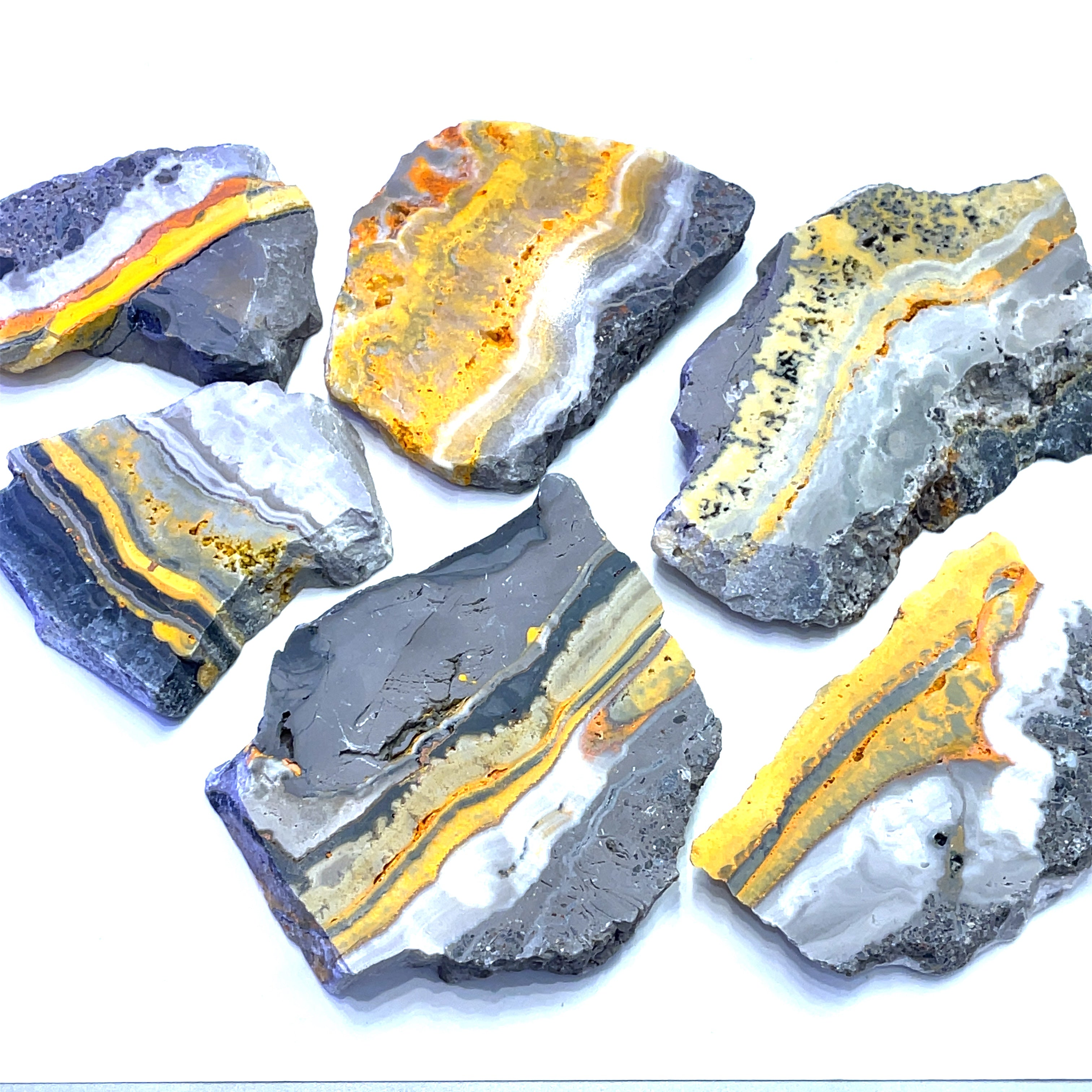 A group of Vibrant yellow and grey banding of natural Bumble Bee Jasper slabs on a white background front view.