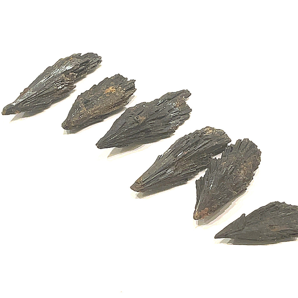 A group of raw Black Kyanite gemstone in a line with a rough, jagged surface on a white background, front overview.