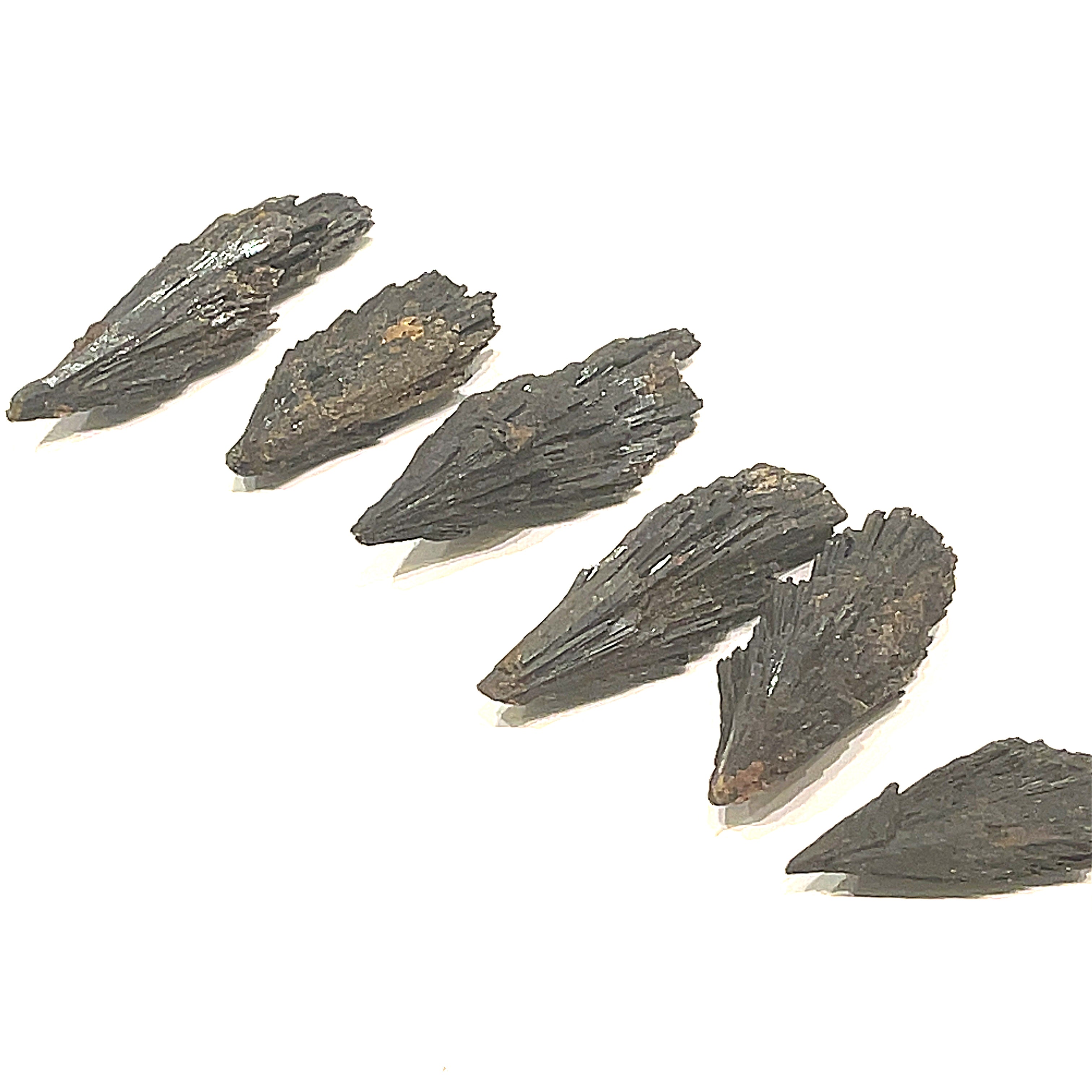 A group of raw Black Kyanite gemstone in a line with a rough, jagged surface on a white background, front overview.