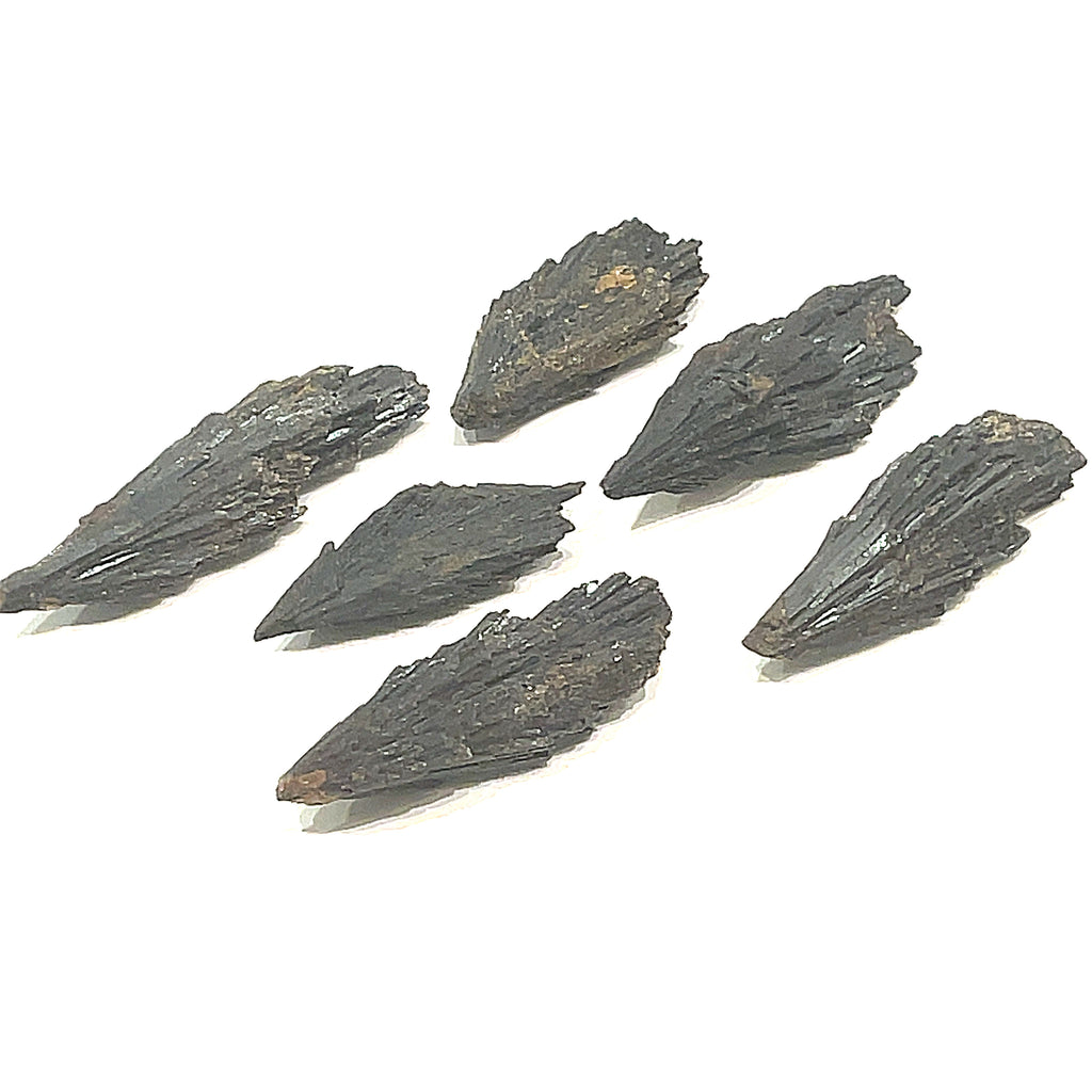 A group of raw Black Kyanite gemstone with a rough, jagged surface on a white background, front overview.