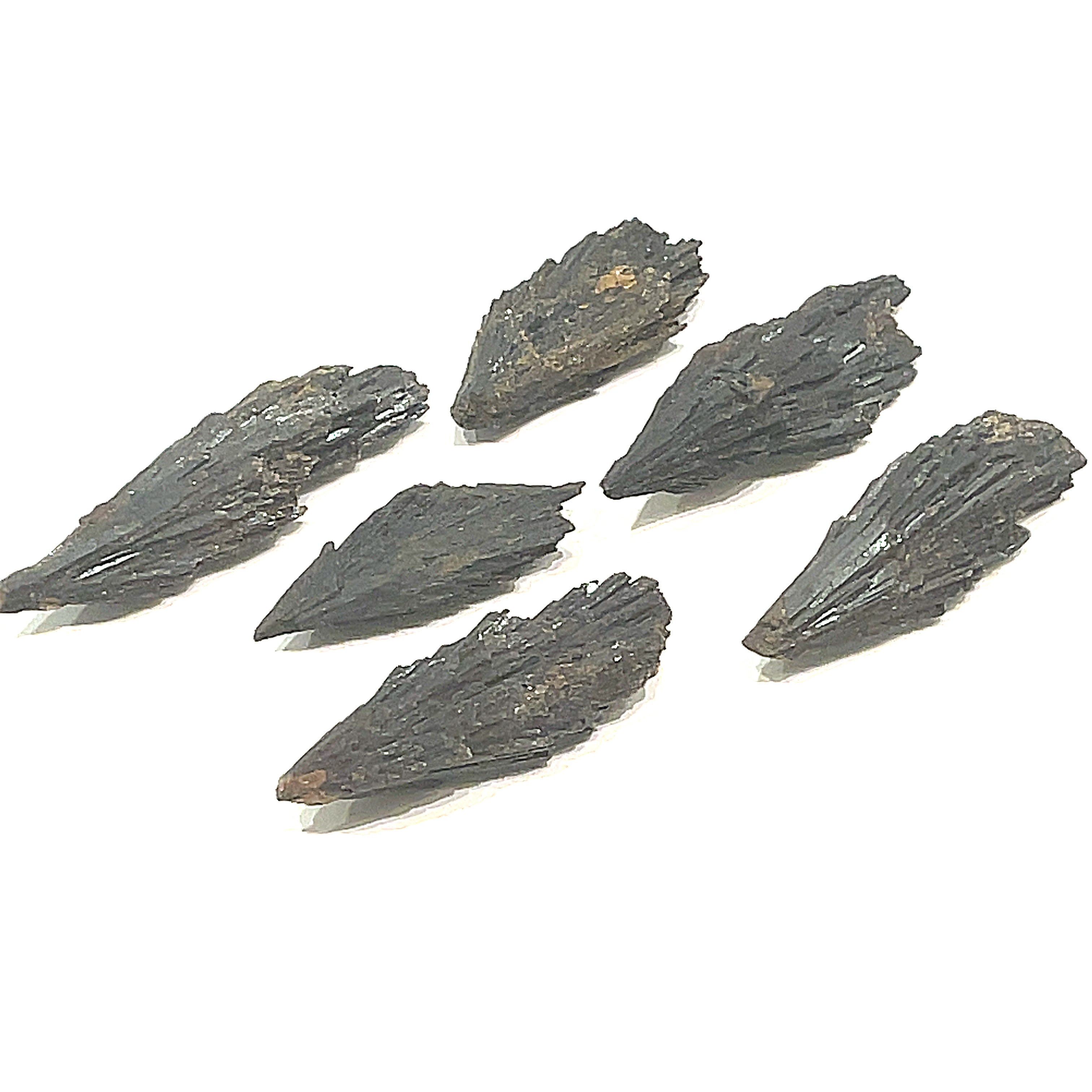 A group of raw Black Kyanite gemstone with a rough, jagged surface on a white background, front overview.