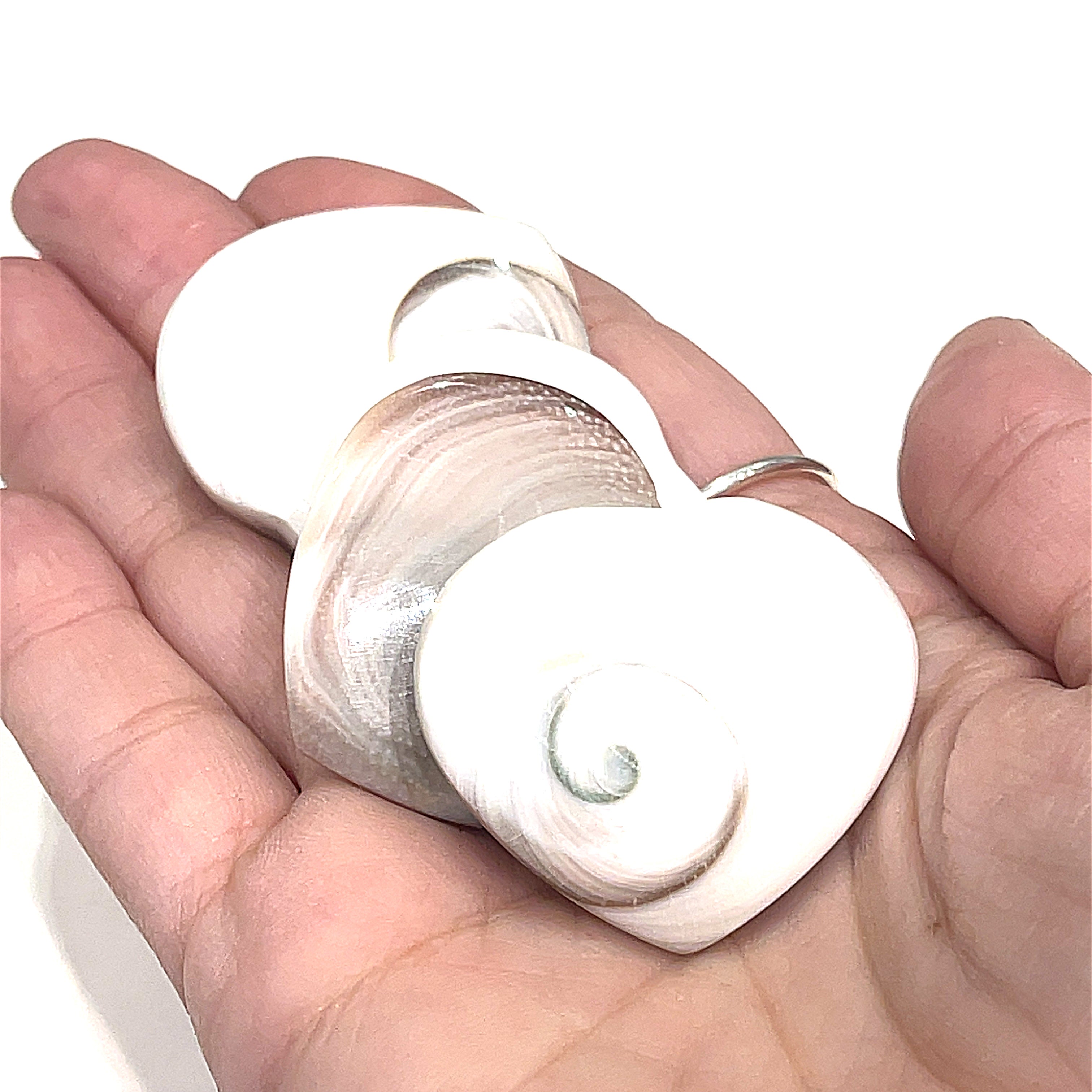 A hand holding a white Shiva shell gemstone heart-shaped crystal in her palm, on a white background, front view.