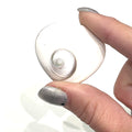 A hand holding a white Shiva shell gemstone heart-shaped crystal, on a white background, front view. 