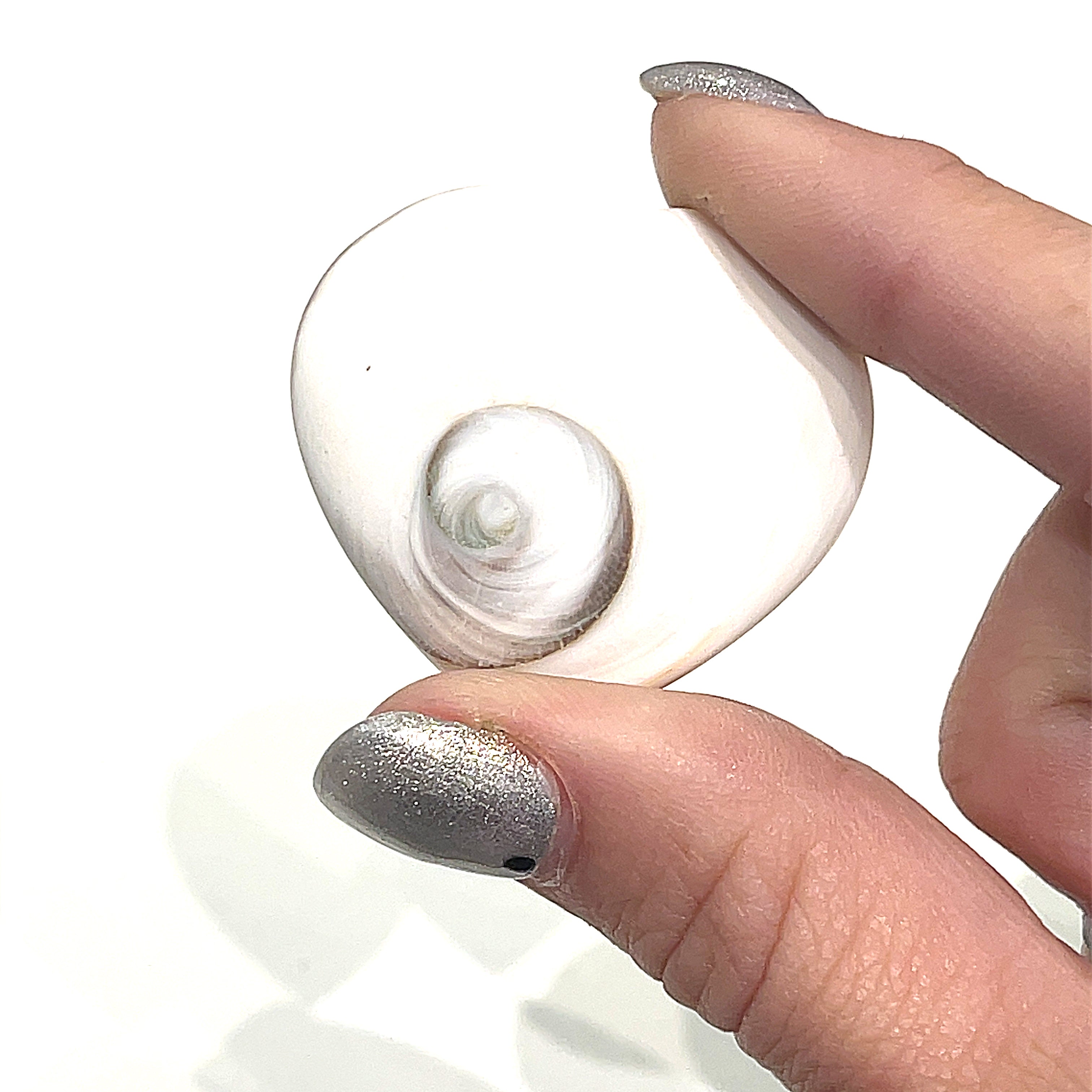 A hand holding a white Shiva shell gemstone heart-shaped crystal, on a white background, front view. 