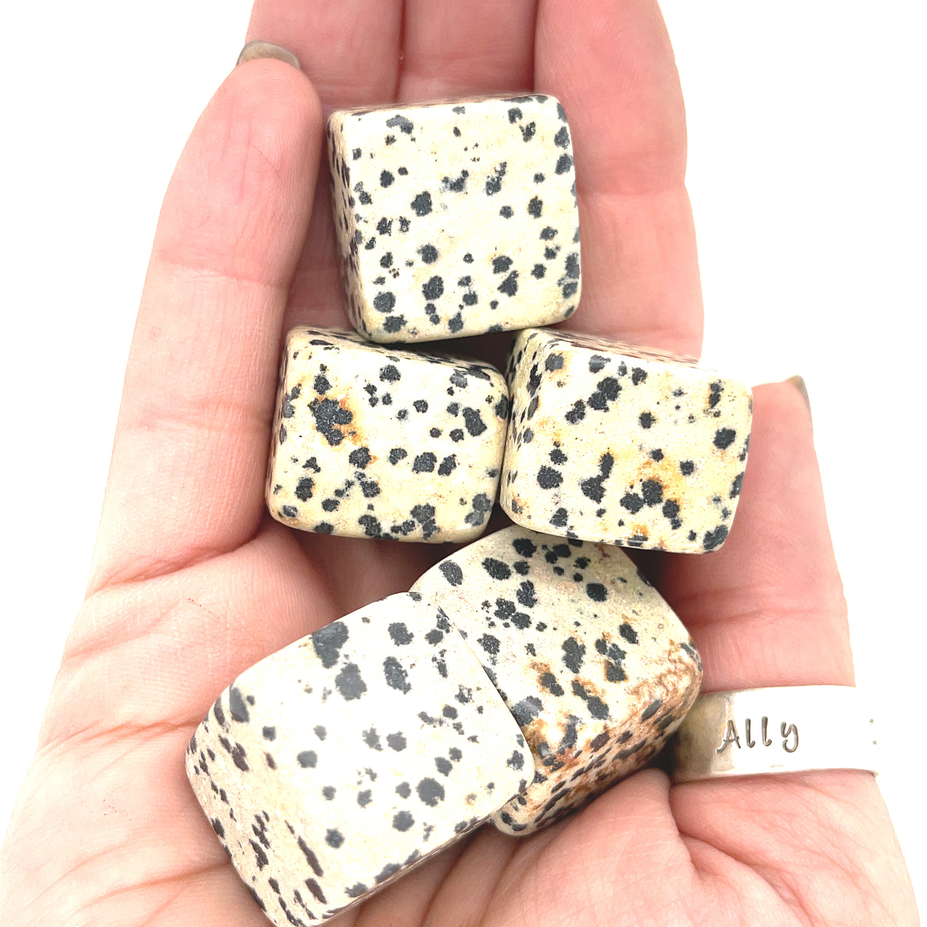 A hand holding multiple cube-shaped Dalmation Jasper stones with a speckled pattern on a white background, front view. 