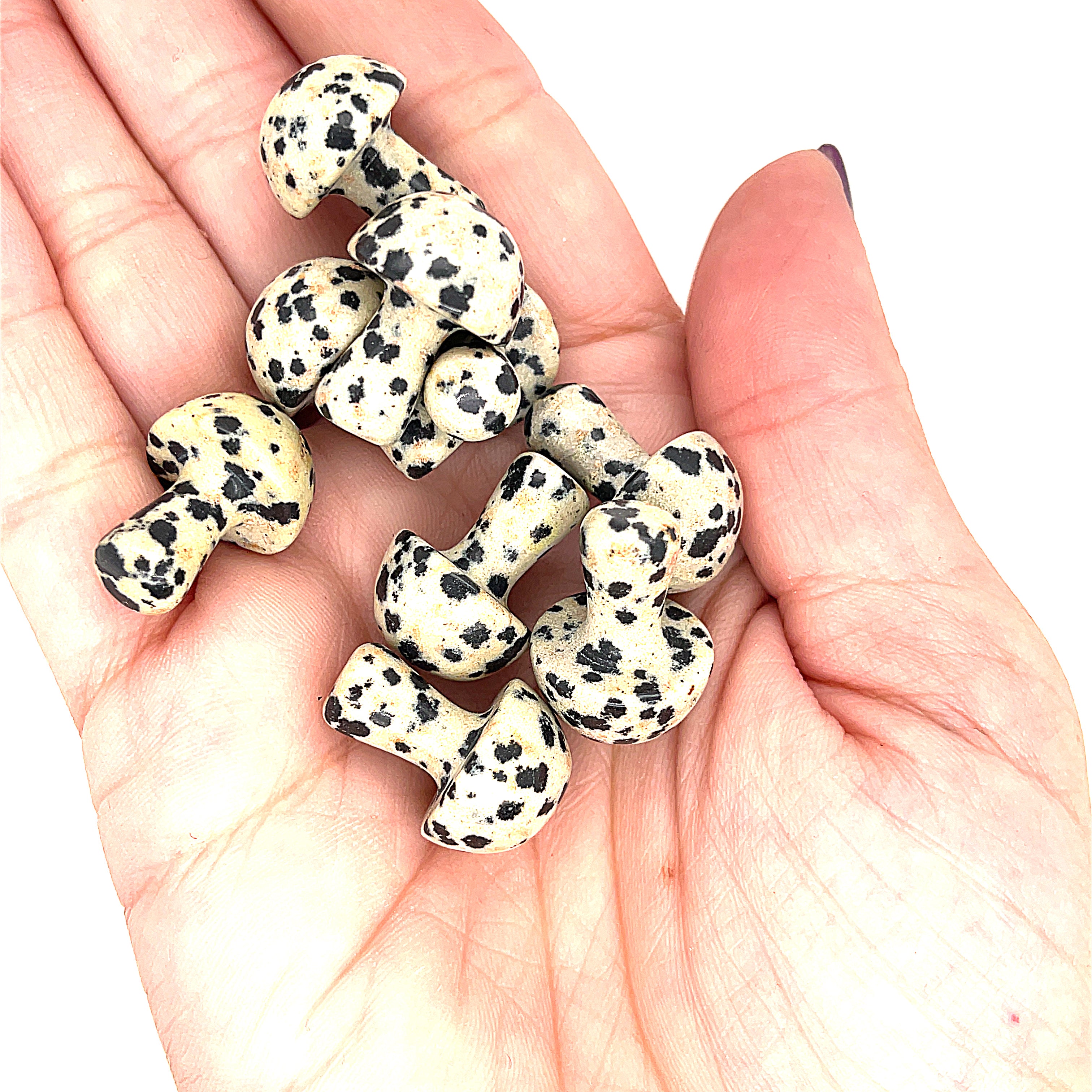 A hand holding several Dalmatian Jasper mini mushroom-shaped gemstone carvings on a white background, front view. 
