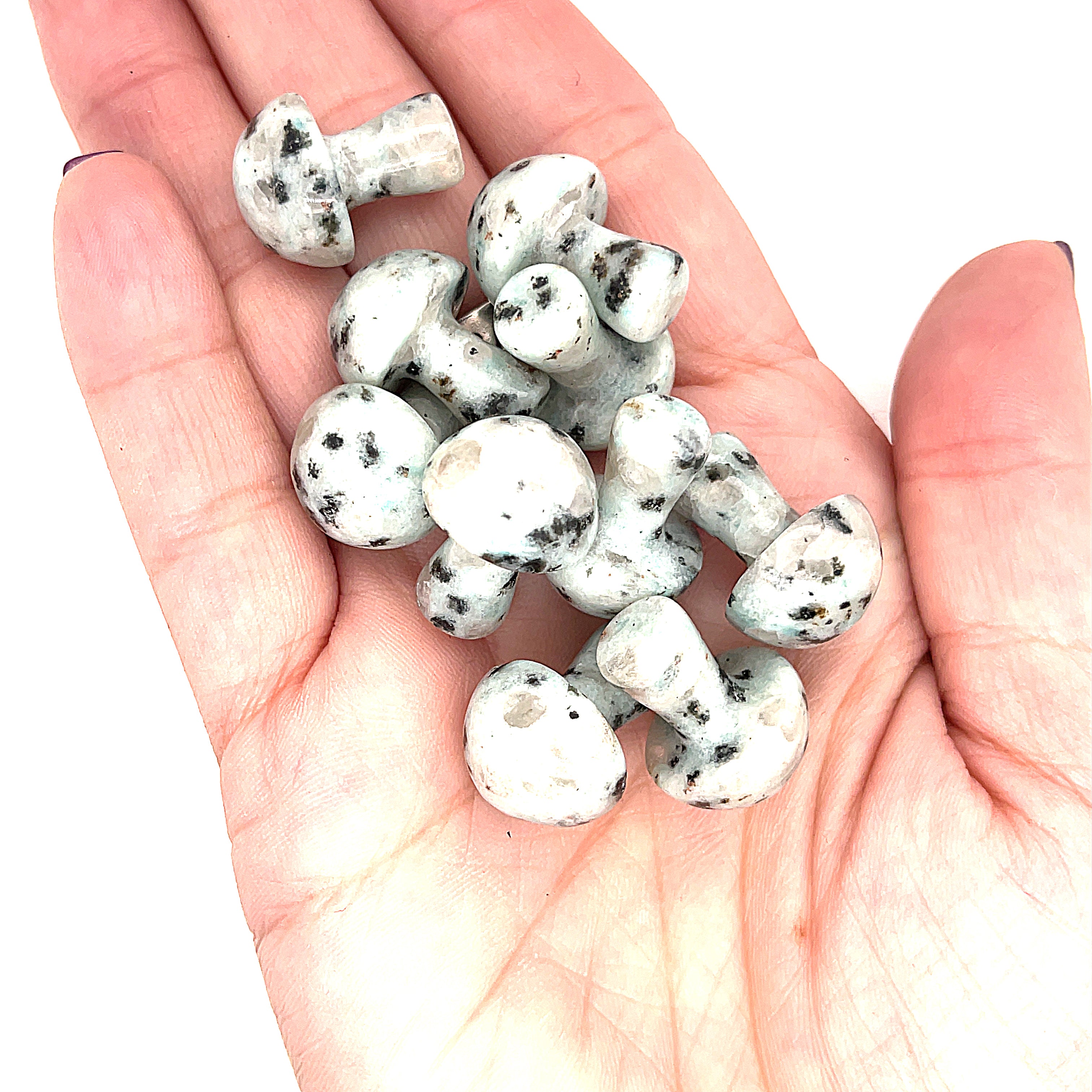 A hand holding several Kiwi Jasper mini mushroom-shaped gemstone carvings on a white background, front view. 