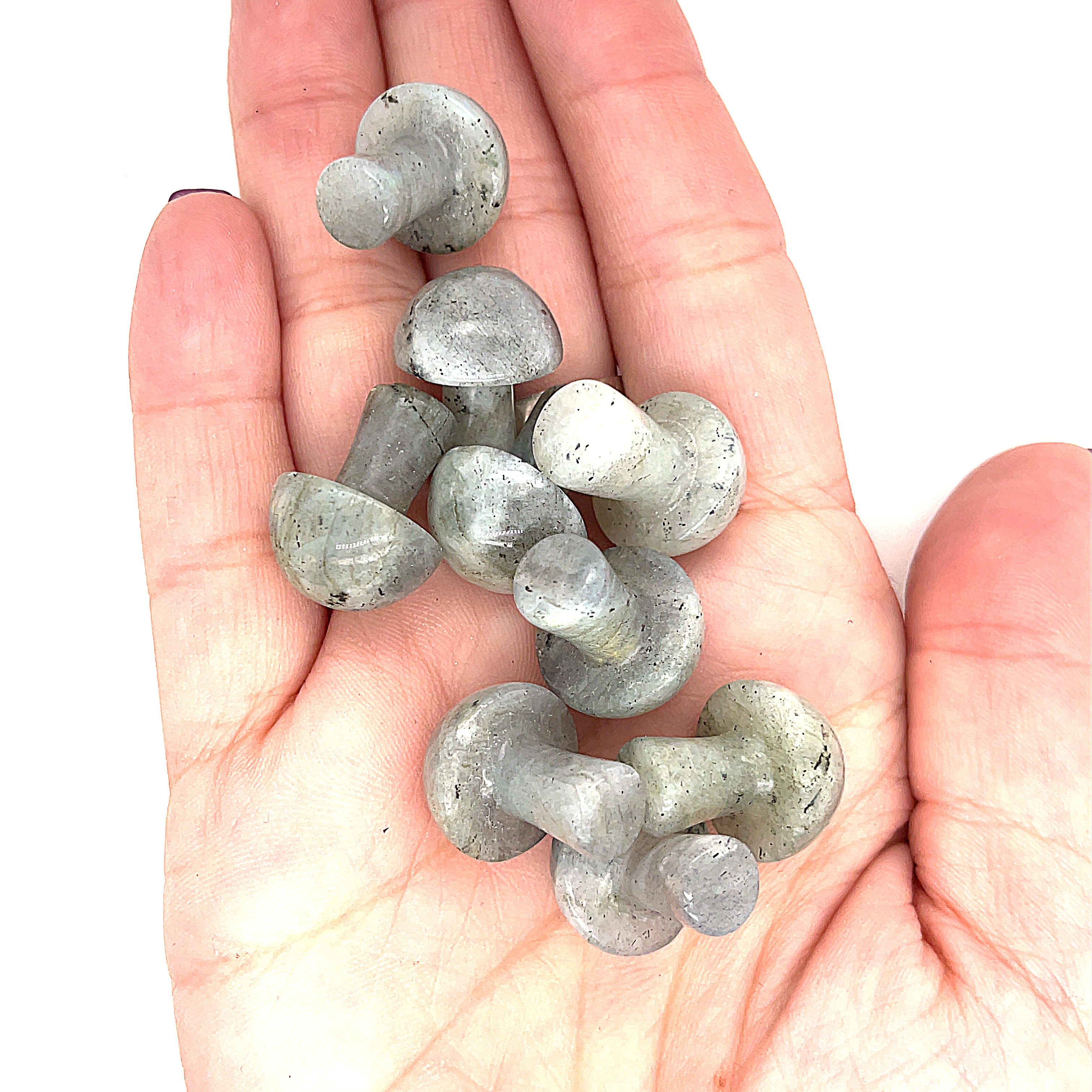 A hand holding several Labradorite mini mushroom-shaped gemstone carvings on a white background, front view. 