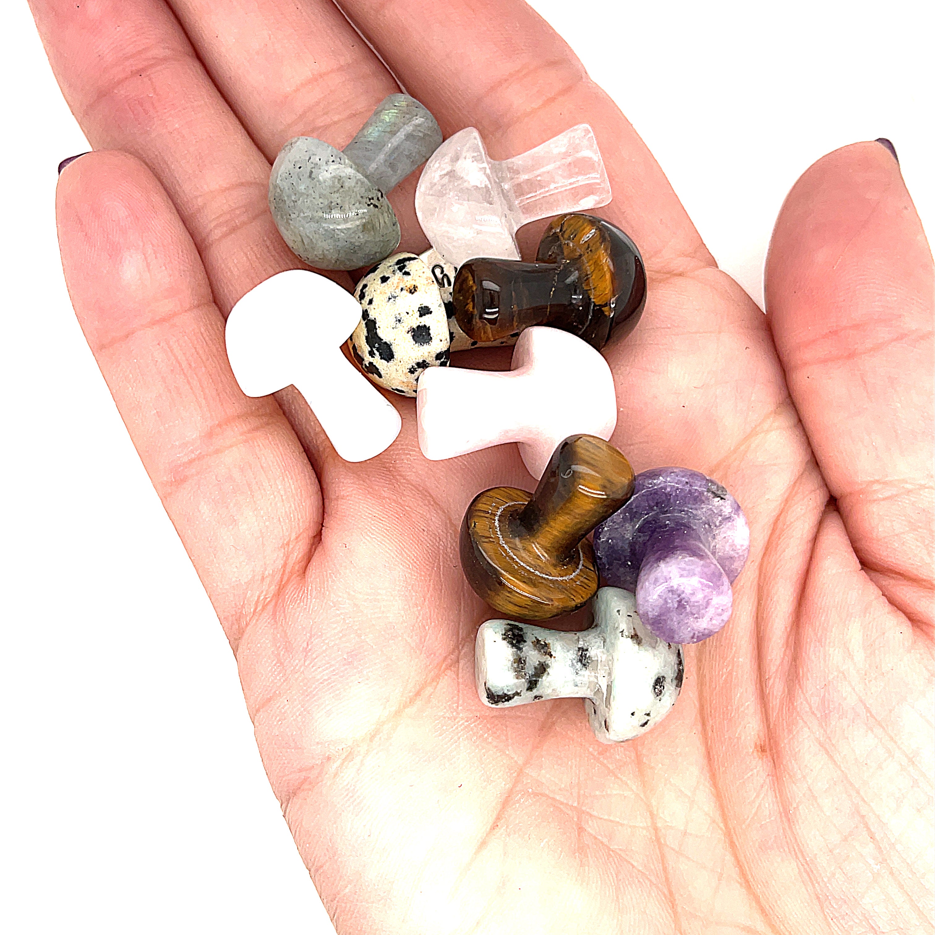 A hand holding various mini mushroom-shaped gemstone carvings with different colors and patterns on a white background, front view. 