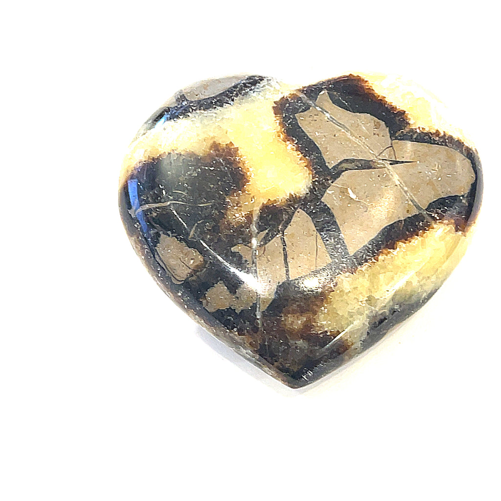 A heart-shaped Septarian Nodule gemstones against a white background, front view.