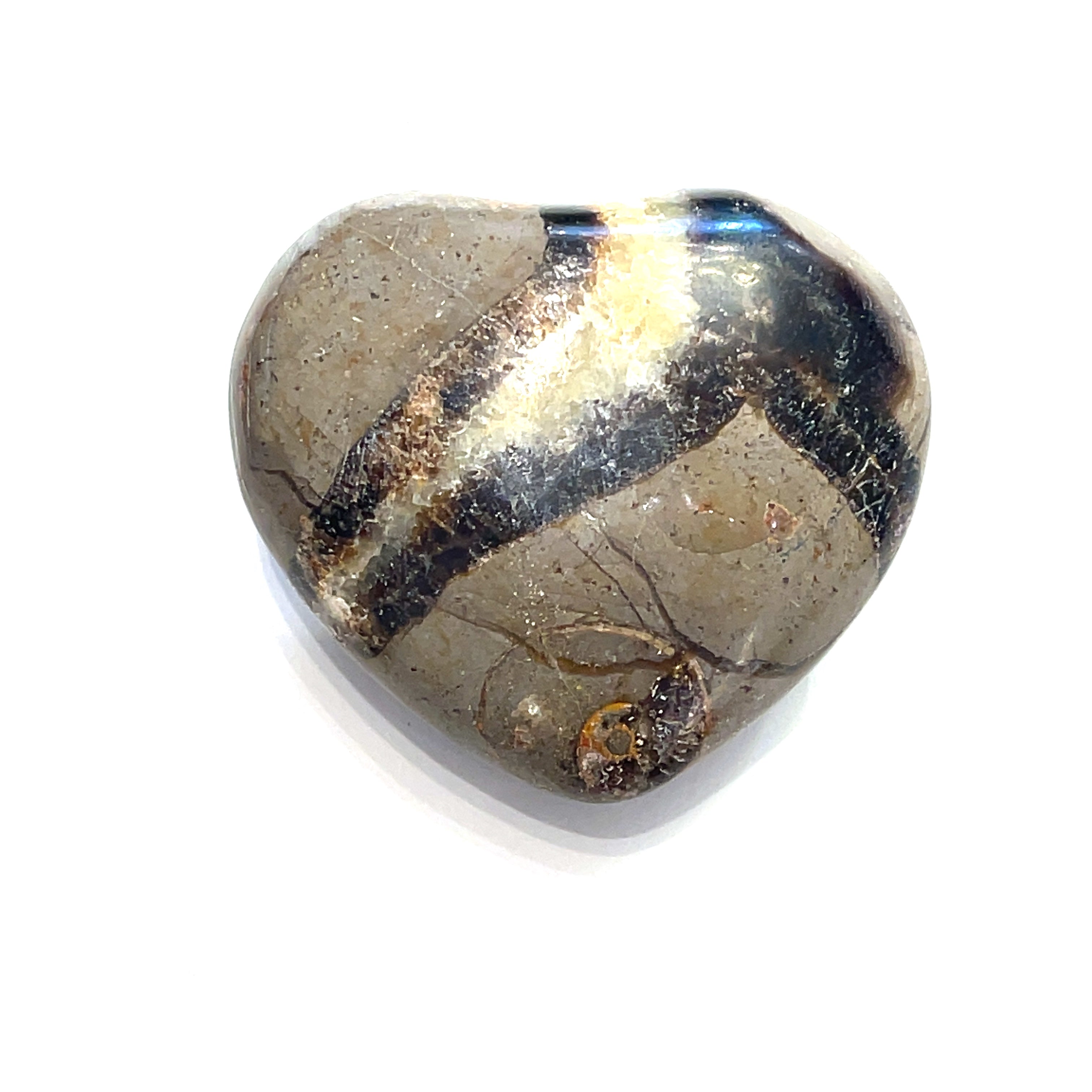 A medium heart-shaped Septarian Nodule gemstones against a white background, front view.