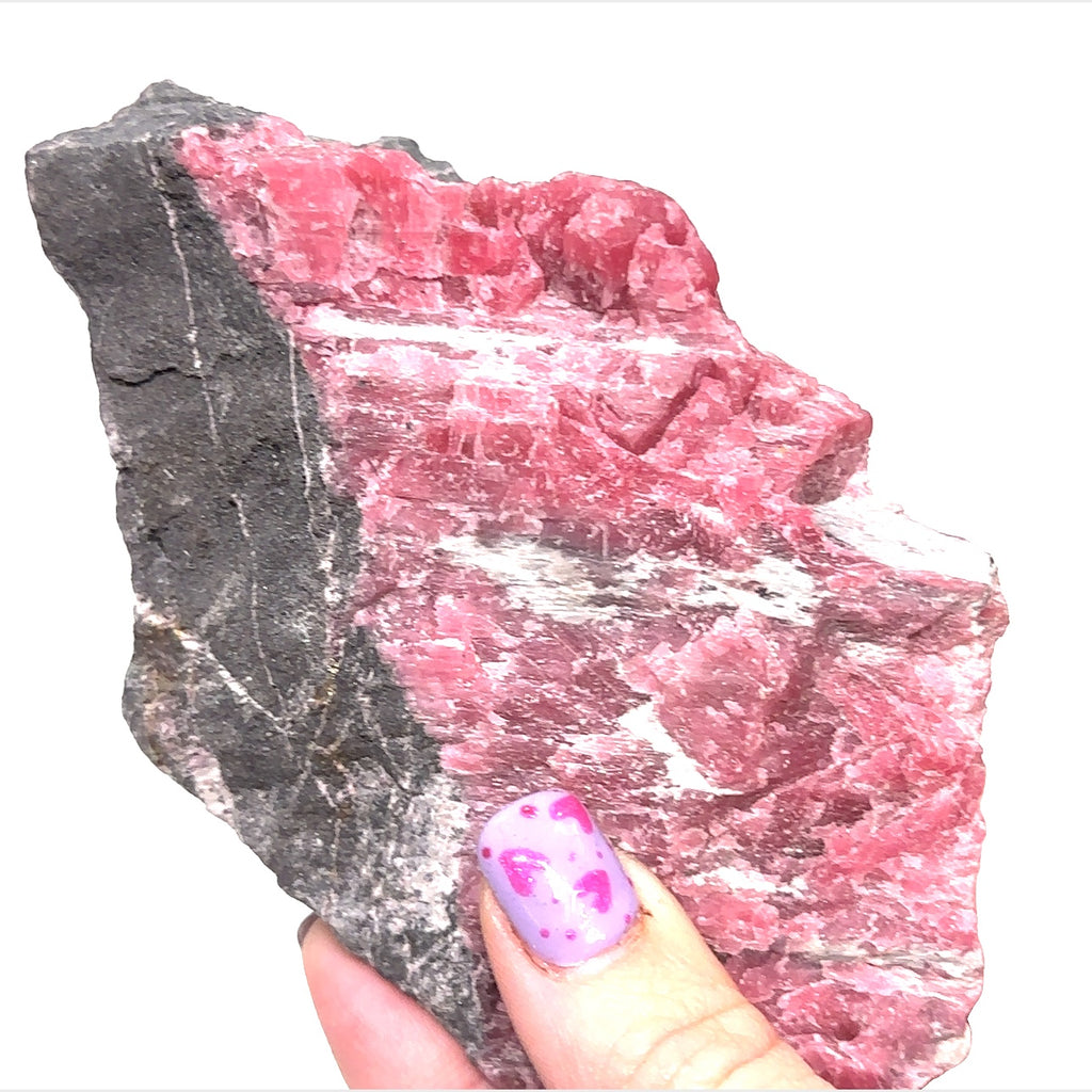 A model holding a large raw Rhodonite gemstone with a rough, textured surface featuring bands of pink and white colors. A white background front view