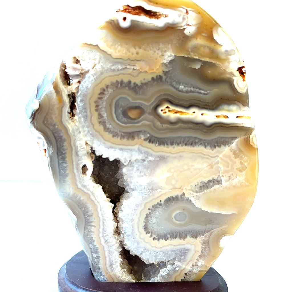 A polished agate geode gemstone collector piece is displayed on a wooden stand, showcasing its intricate patterns and colors on a white background, front close up view