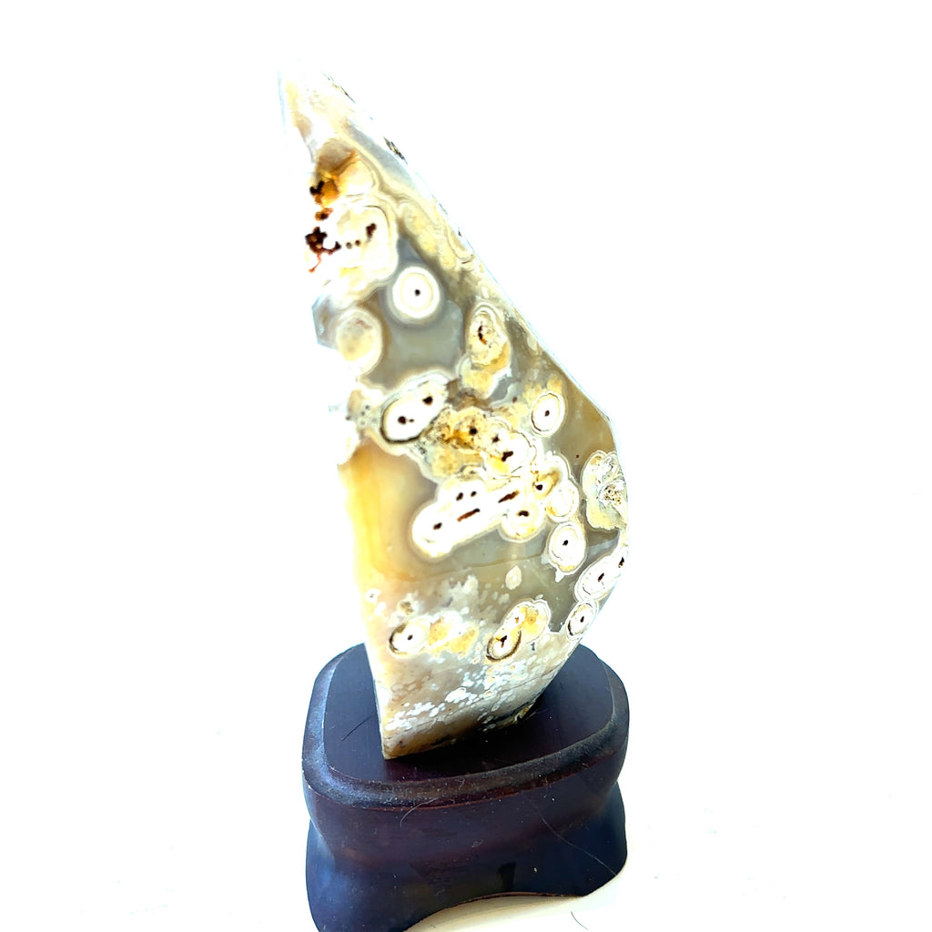 A polished agate geode gemstone collector piece is displayed on a wooden stand, showcasing its intricate patterns and colors on a white background, left side view.
