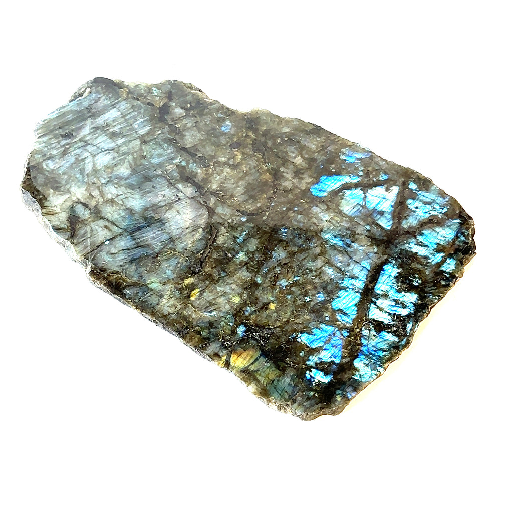 A polished labradorite gemstone slab displayed flat , with a polished front. On a white background, front left angle view. 