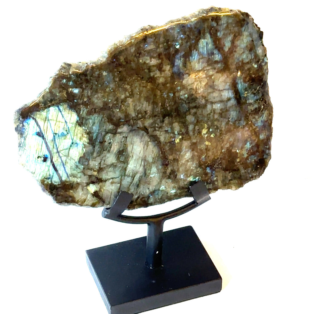 A polished labradorite gemstone slab displayed on a black stand, showcasing its raw back and edges with a polished front. On a white background, front left angle view. 