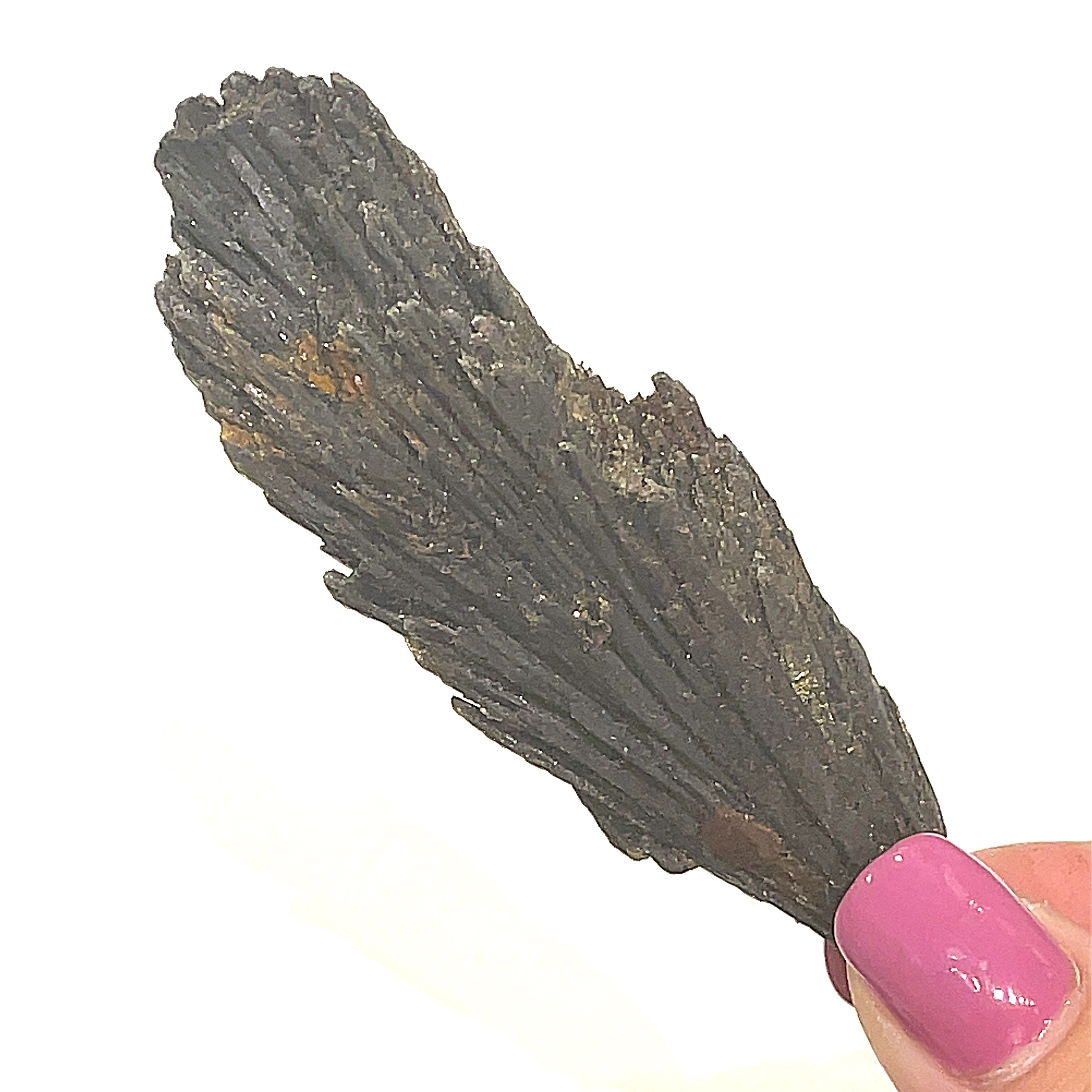 A raw Black Kyanite gemstone in a models fingert tips a with a rough, jagged surface on a white background, front overview.